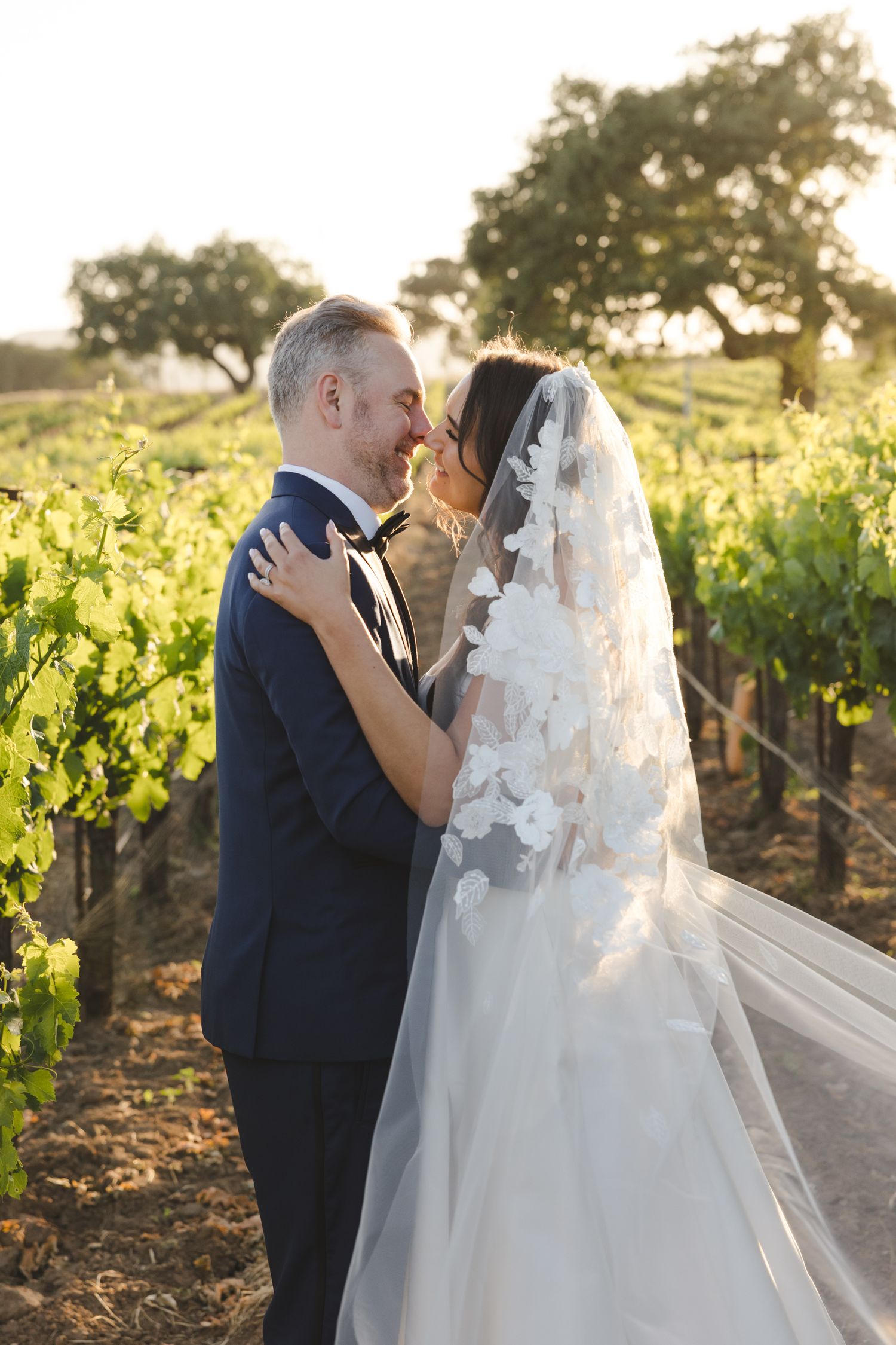 Romantic wedding couple embracing in a sun-drenched vineyard during golden hour.