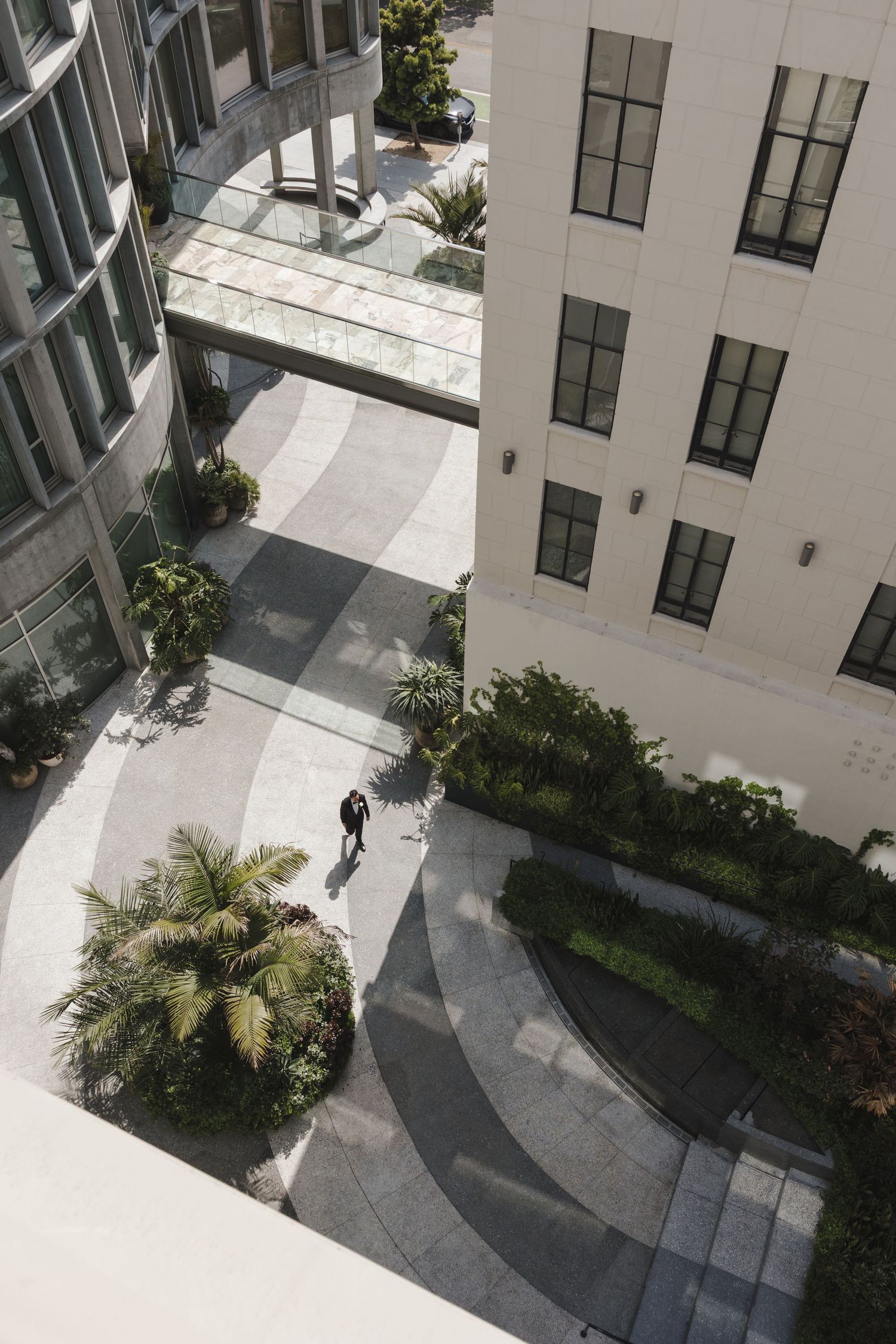 Aerial view of a modern courtyard with curved walkways, palm trees, and white building facades casting geometric shadows.