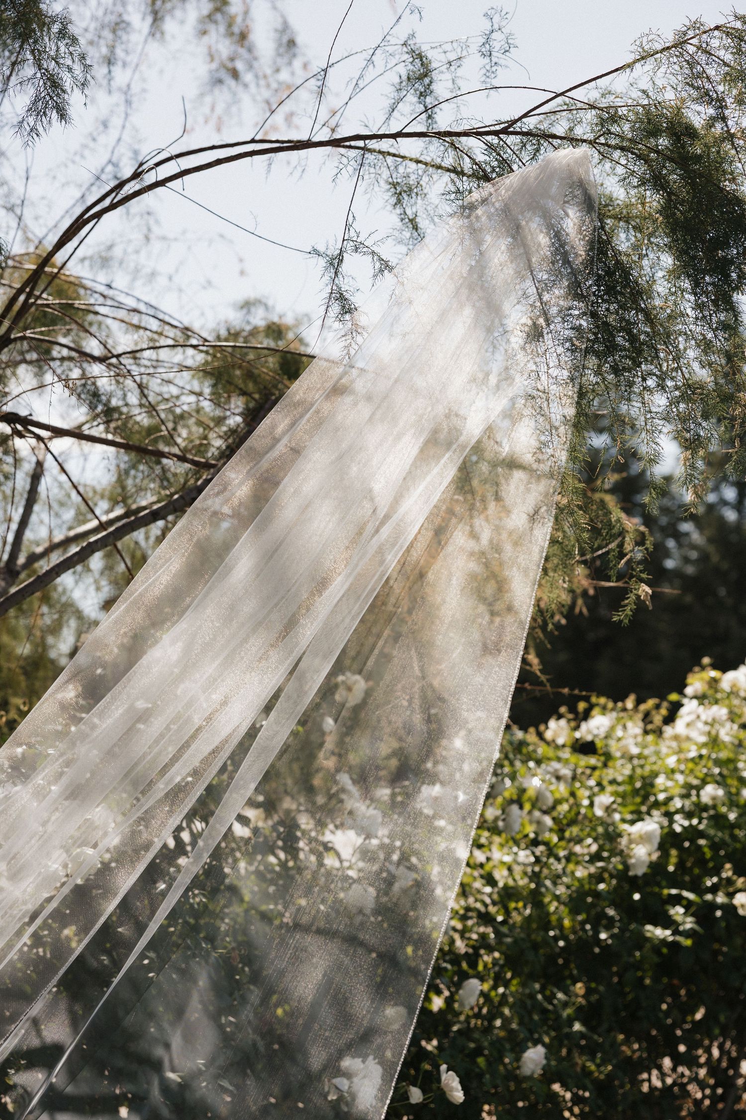 Ethereal sheer white fabric hanging in sunlight with trees visible through translucent material.