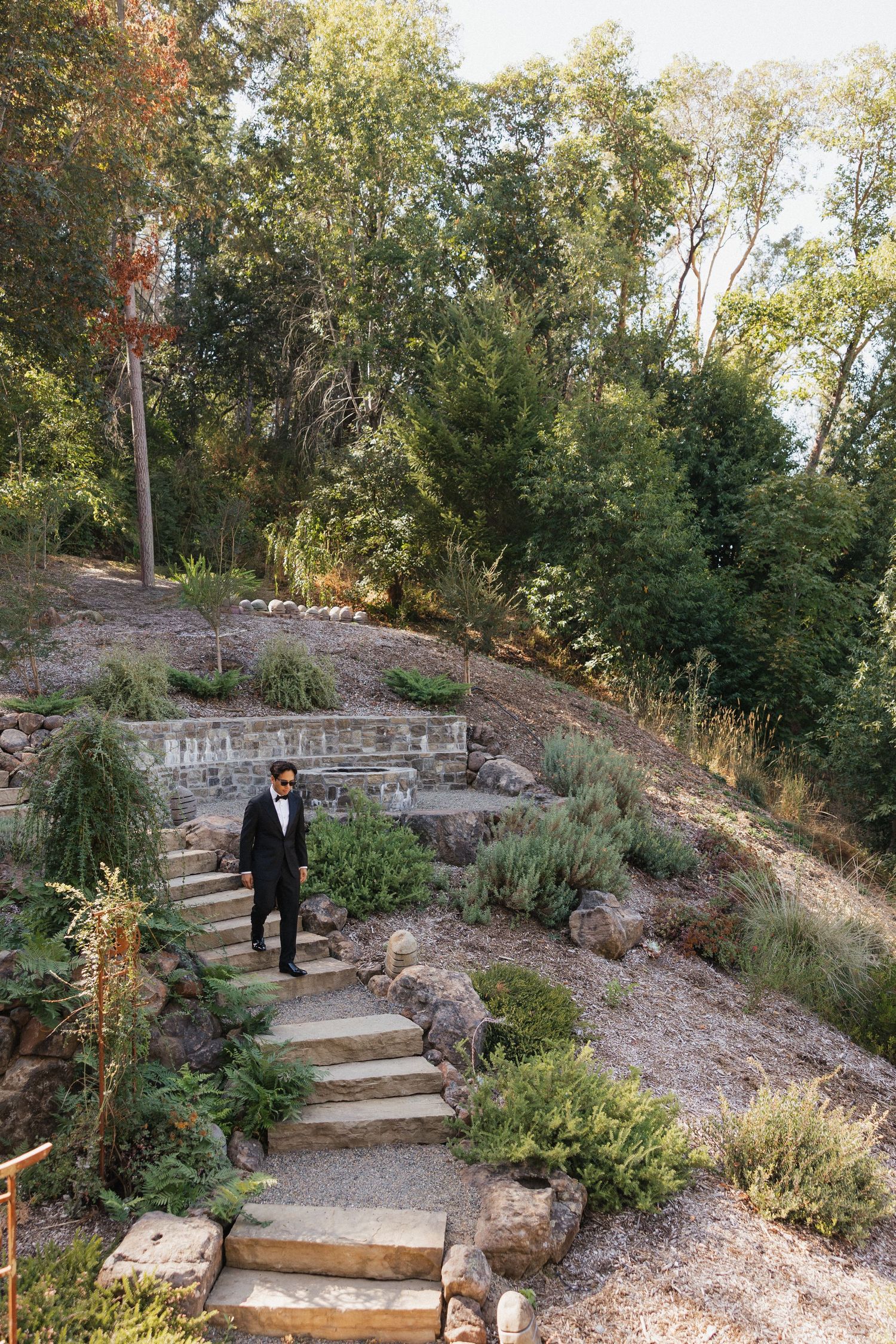 Stone steps wind through a landscaped garden path with native plants and greenery.