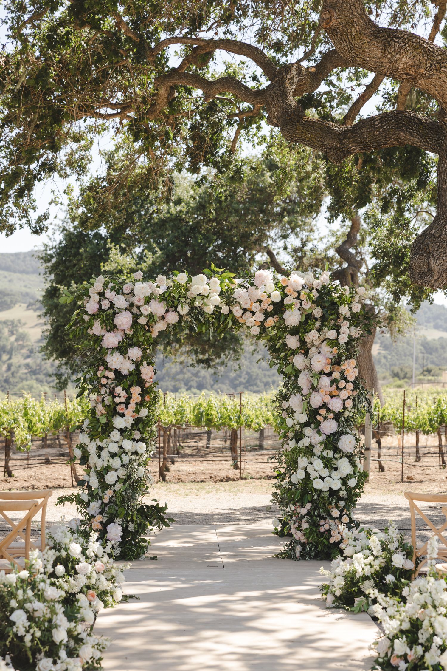 Romantic floral arch adorned with white roses overlooking a vineyard landscape.