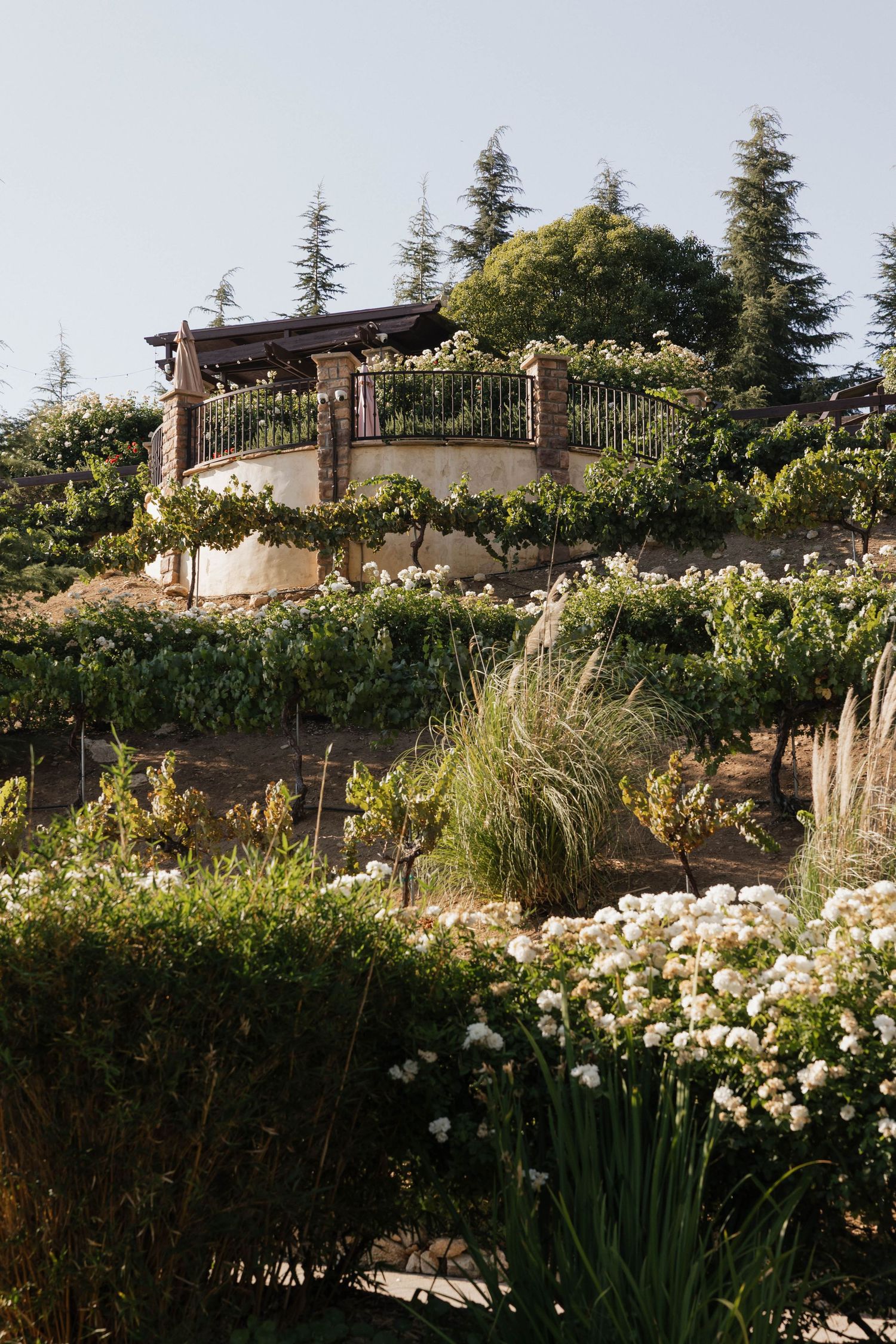 Rustic hillside wedding venue with wooden deck and lush garden landscaping.
