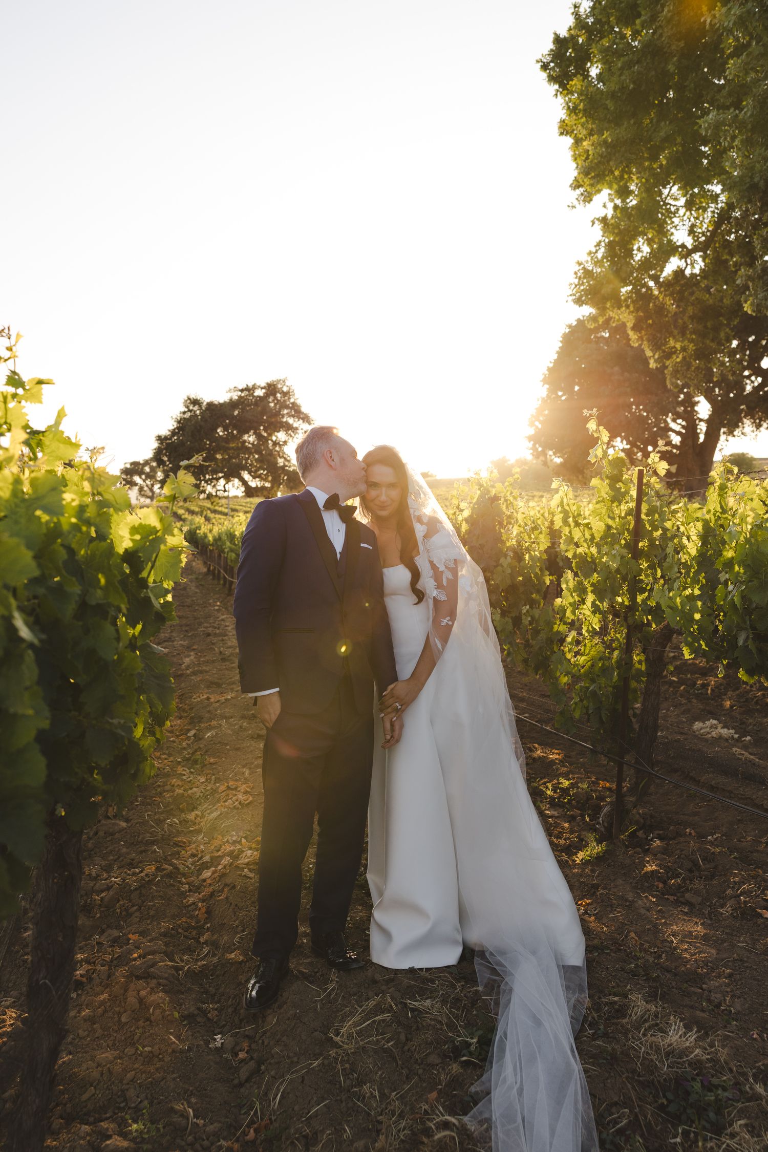 Romantic sunset wedding photos among vineyard rows with glowing backlight.