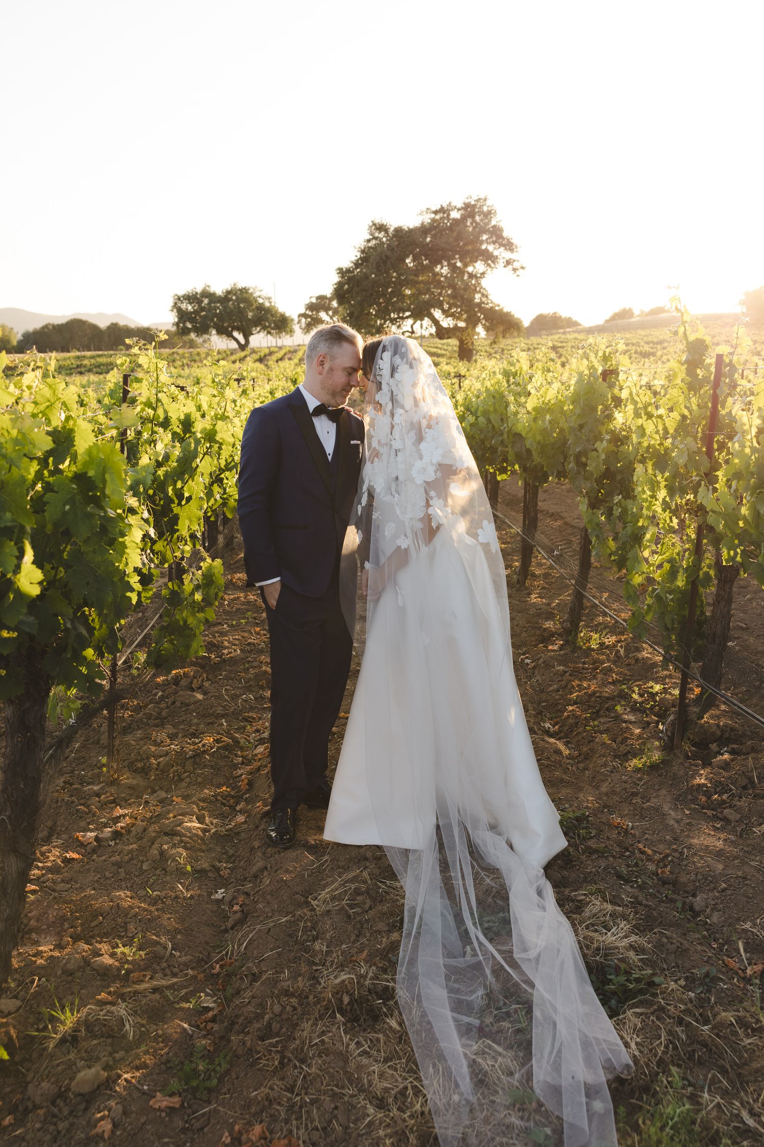 Wedding couple shares intimate moment among vineyard rows at golden hour.