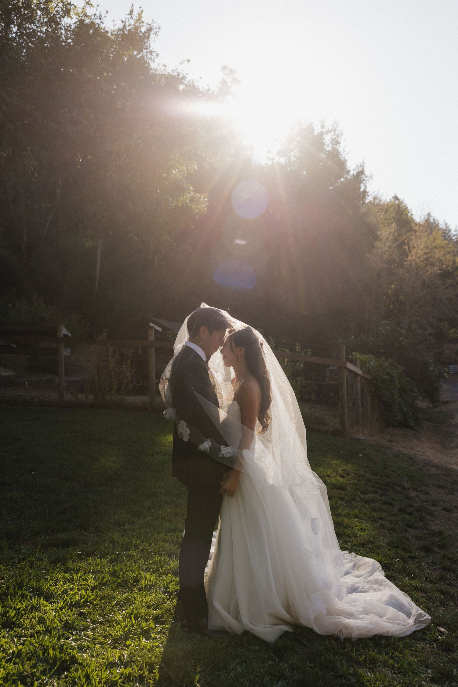 Wedding couple poses in a sunlit garden setting with dramatic lens flare effects.