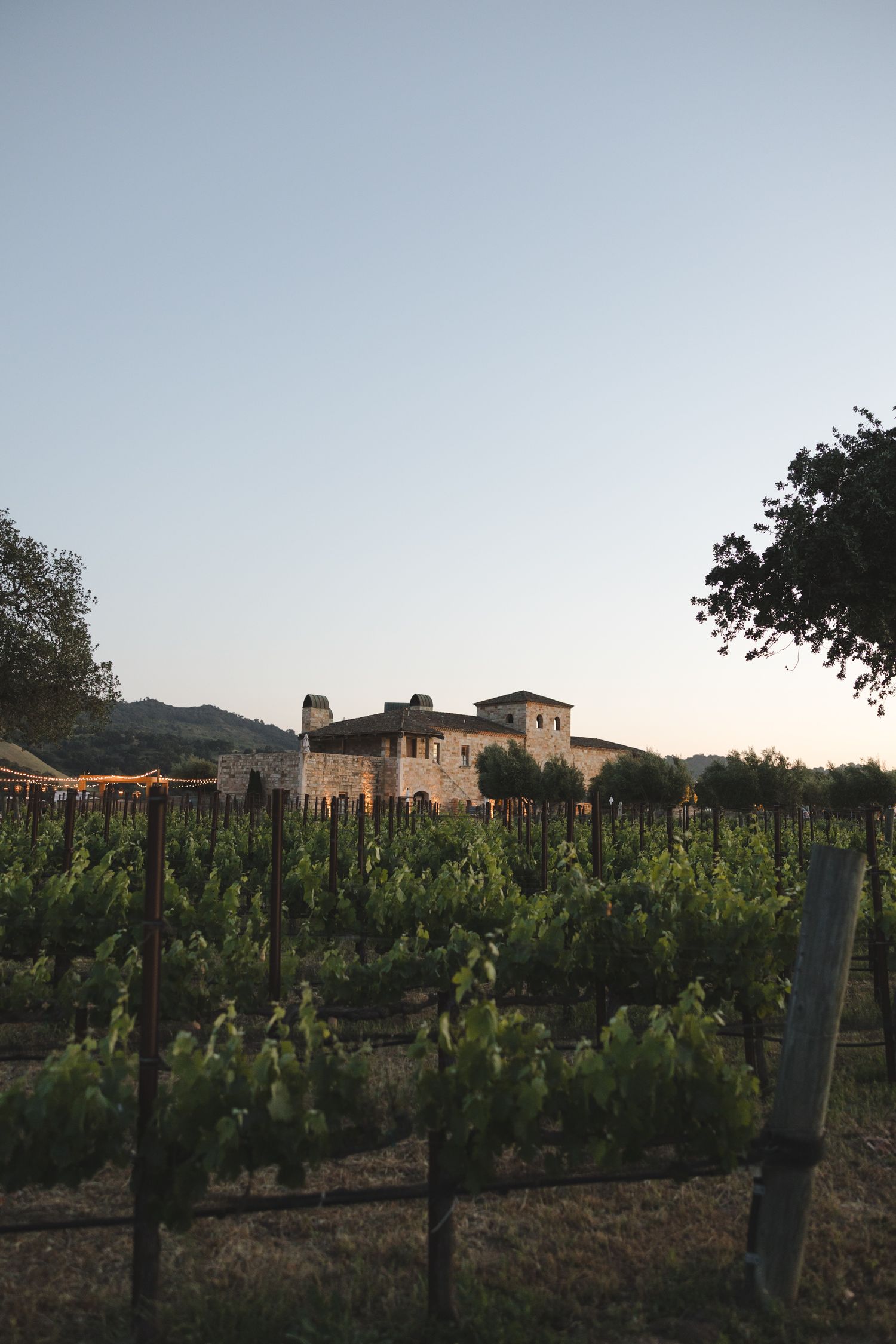 A rustic Mediterranean villa sits behind rows of grapevines in a vineyard at sunset against a clear sky.