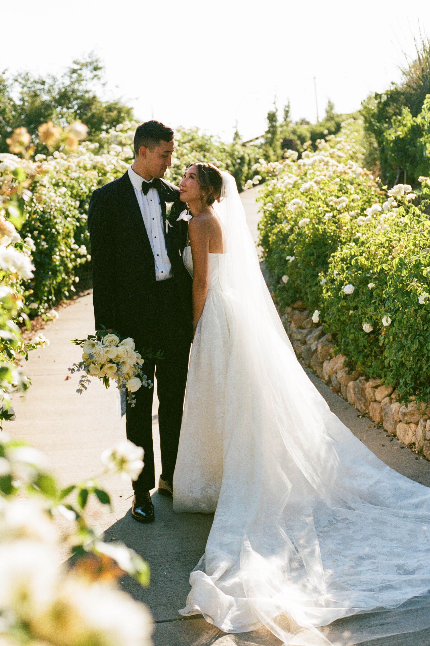 Bride and groom share romantic moments in a sunlit garden path lined with blooming white roses.