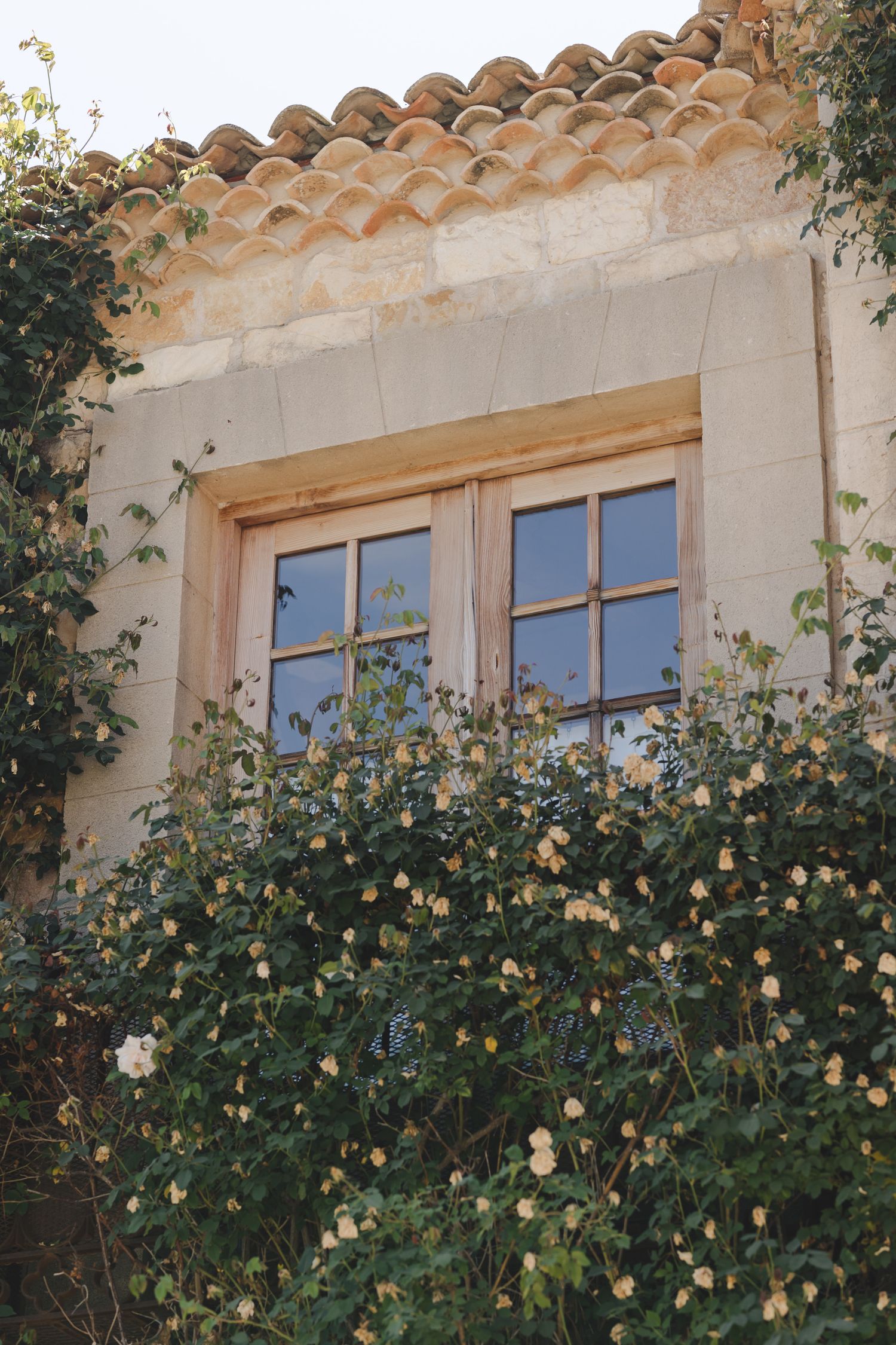 A charming window with clay tile roof trim surrounded by climbing yellow roses on a stone wall.
