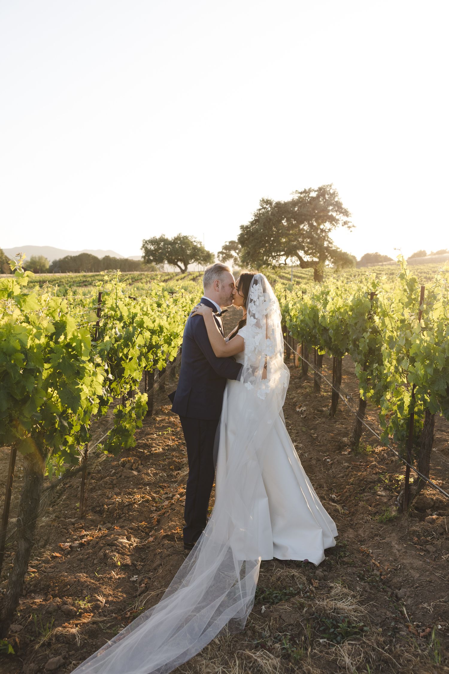 Wedding couple embracing in vineyard at golden hour with flowing veil.