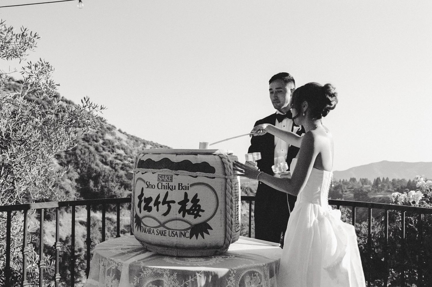 A bride and groom celebrate with guests at a scenic outdoor wedding venue with mountain views in the background.
