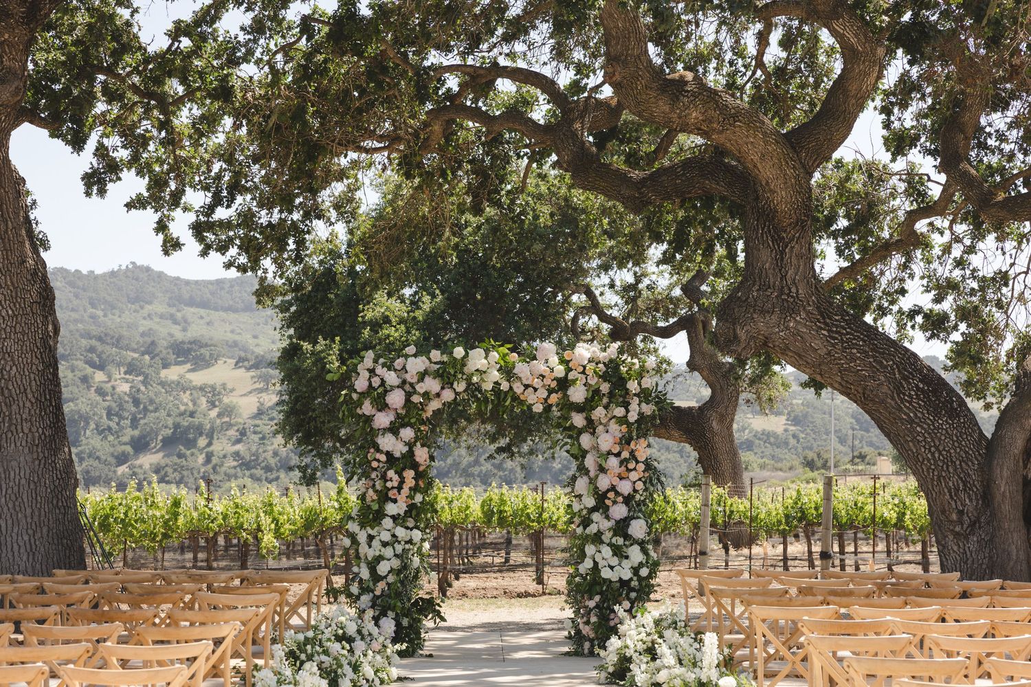 A sprawling vineyard landscape with oak trees and stone walls stretches across rolling hills in wine country.