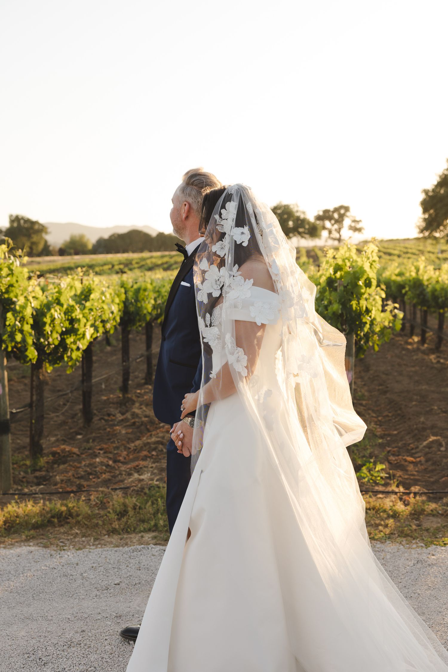 Wedding couple standing in vineyard with flowing veil in evening light.