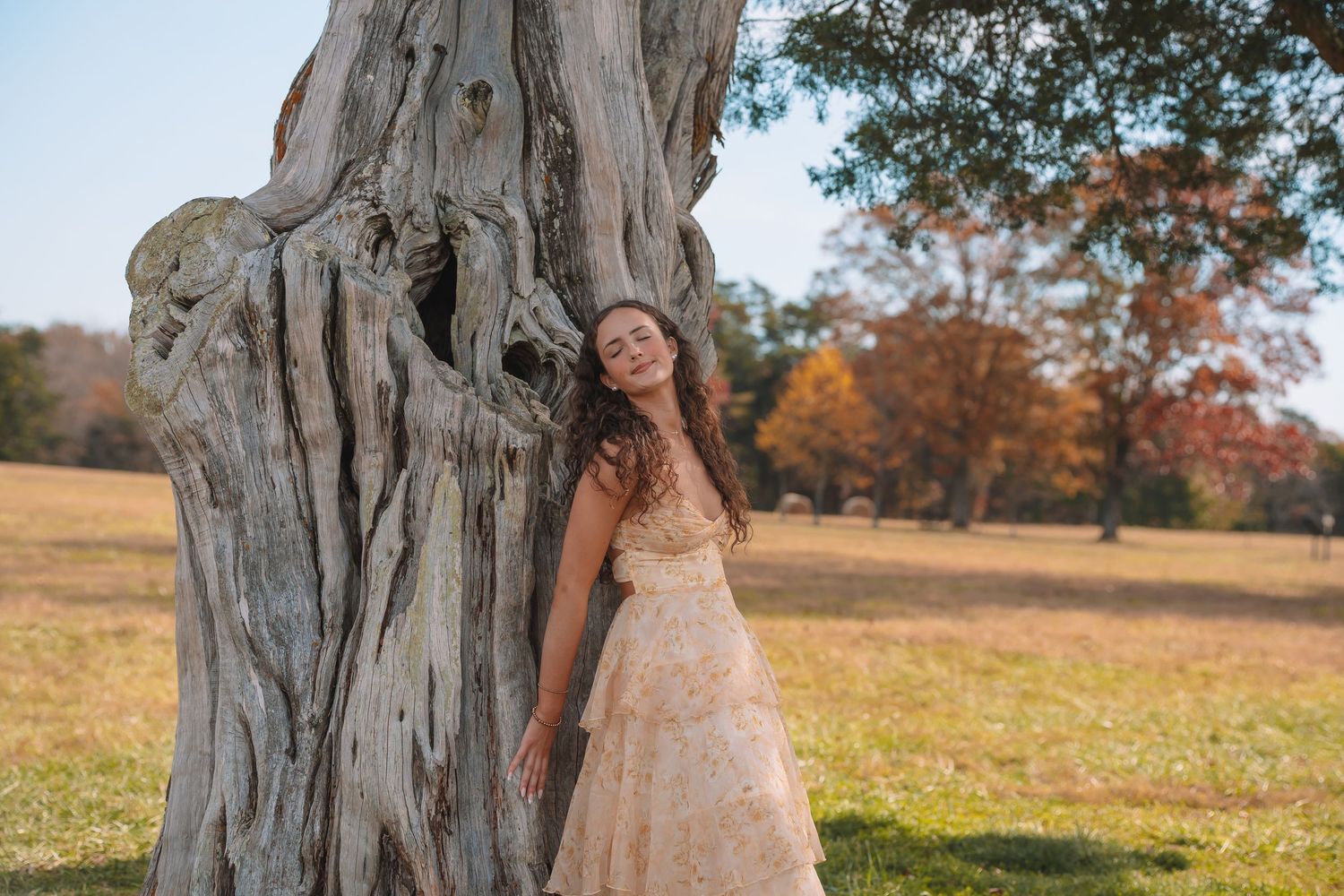 A woman in a white wedding dress stands next to a large, weathered tree in a field during autumn.