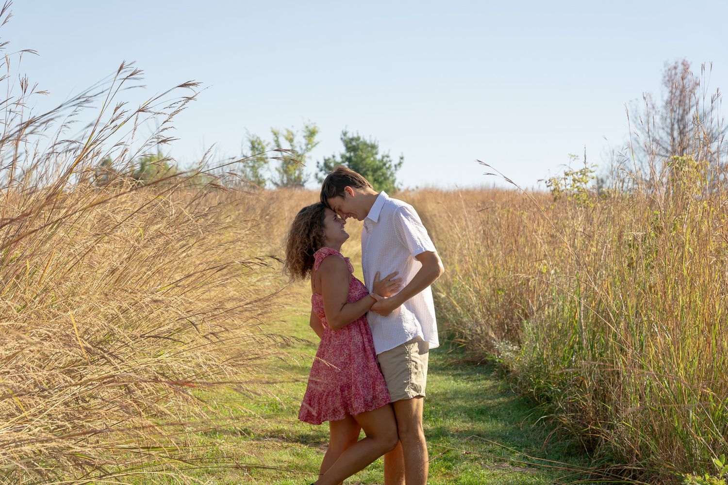 A couple embraces on a sunlit path surrounded by tall golden grass swaying in the breeze.