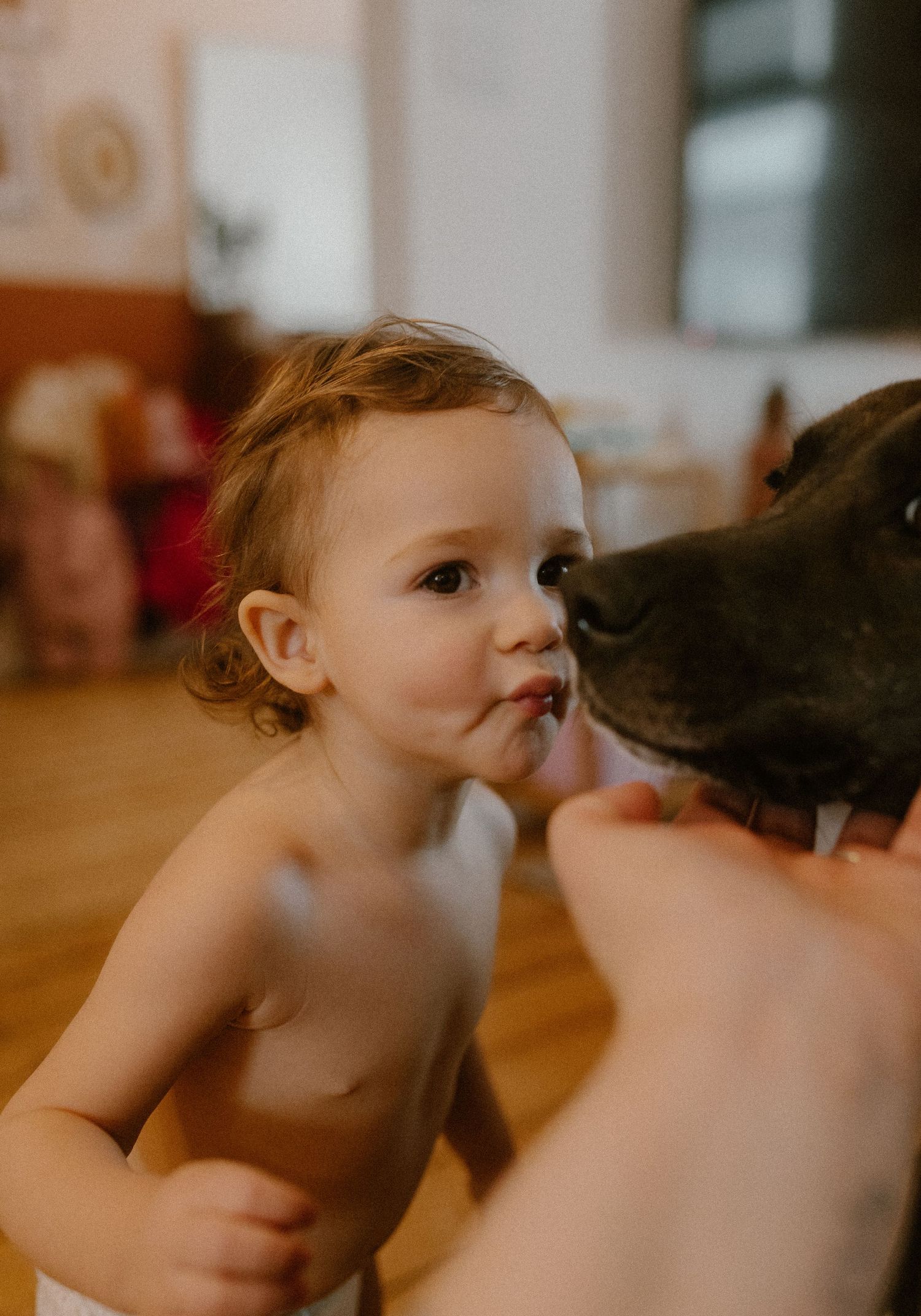 Sweet moment showing a small child and black dog touching noses in a heartwarming indoor interaction.