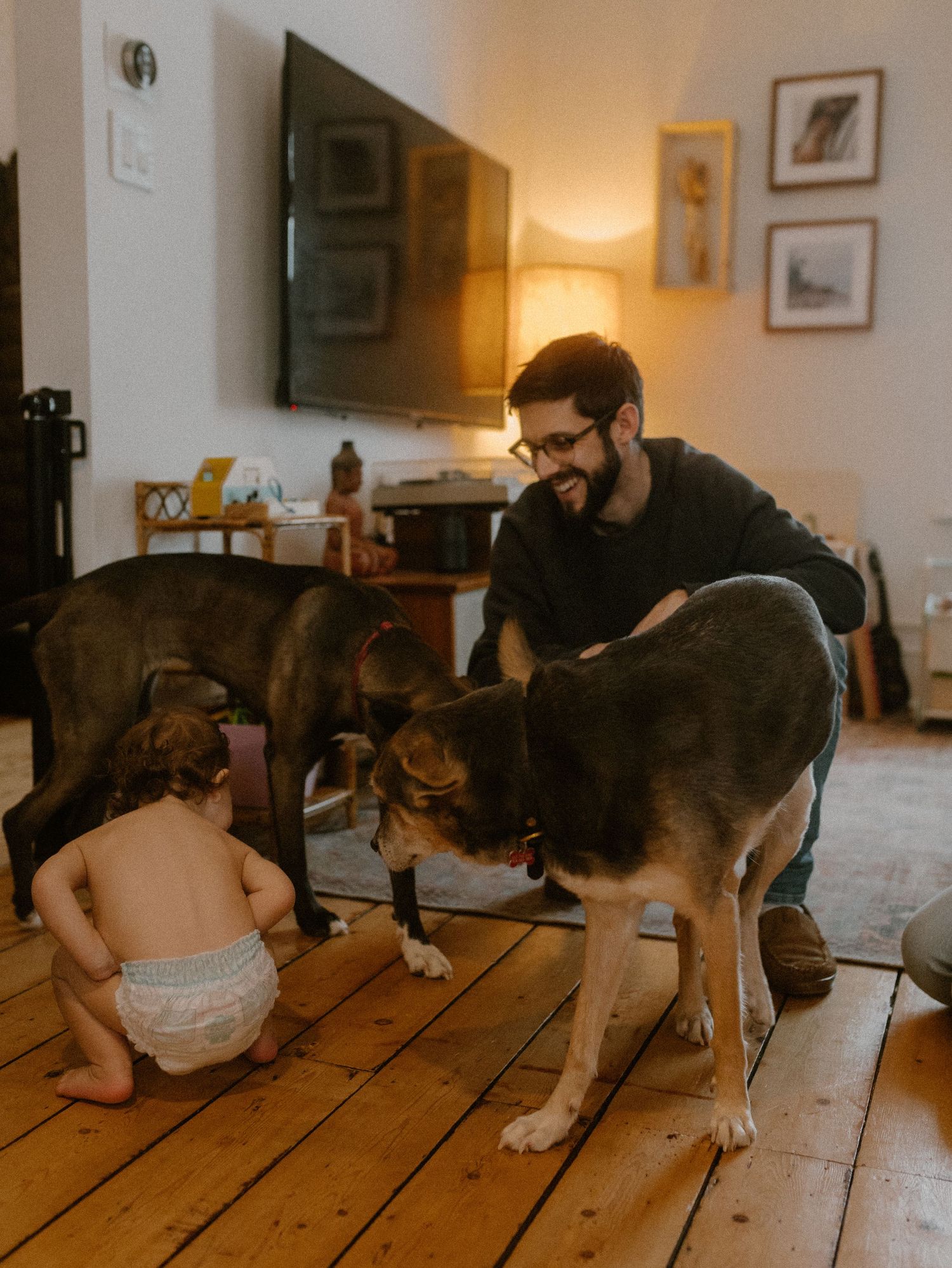 A baby in a diaper and dogs interact on wooden floors in a cozy living room with warm lighting.