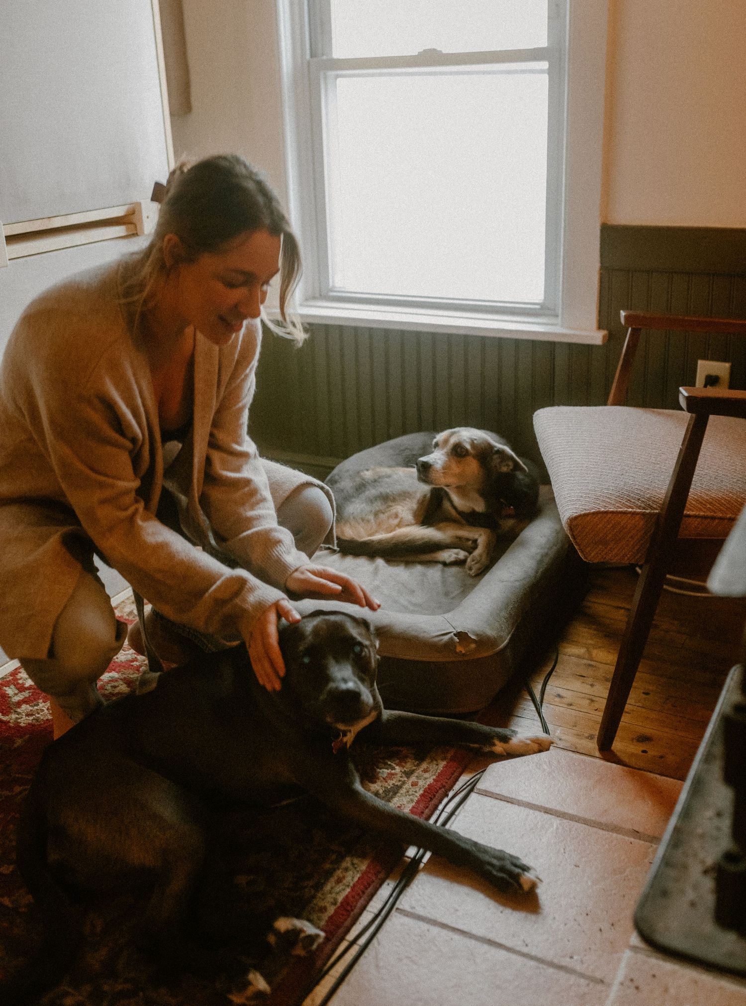 Cozy living room scene with person in sweater petting dogs on floor near window.