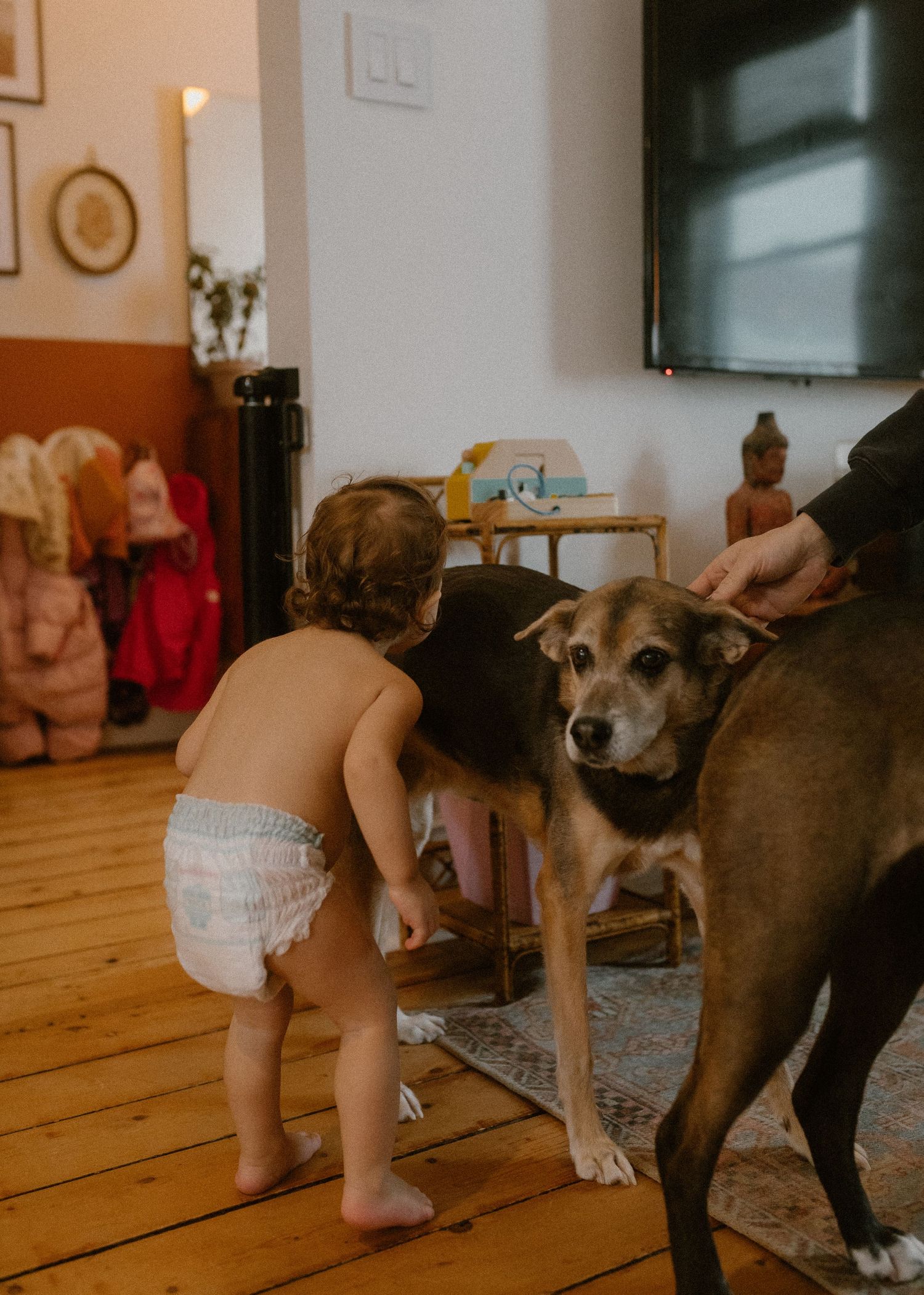 Toddler in diaper curiously interacts with large dog on hardwood floor.