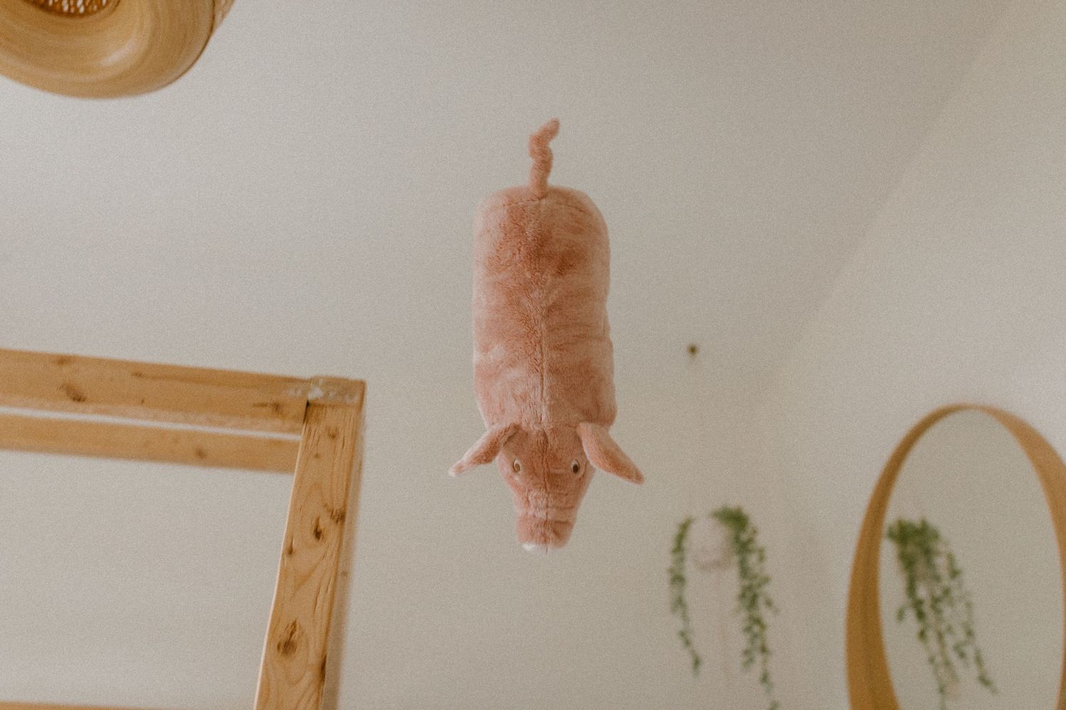 Pink pig teddy playfully hangs upside down from wooden beam near hanging plants.
