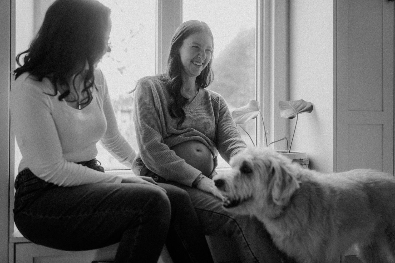 A relaxed moment by the window with a large white dog joining the casual indoor scene.