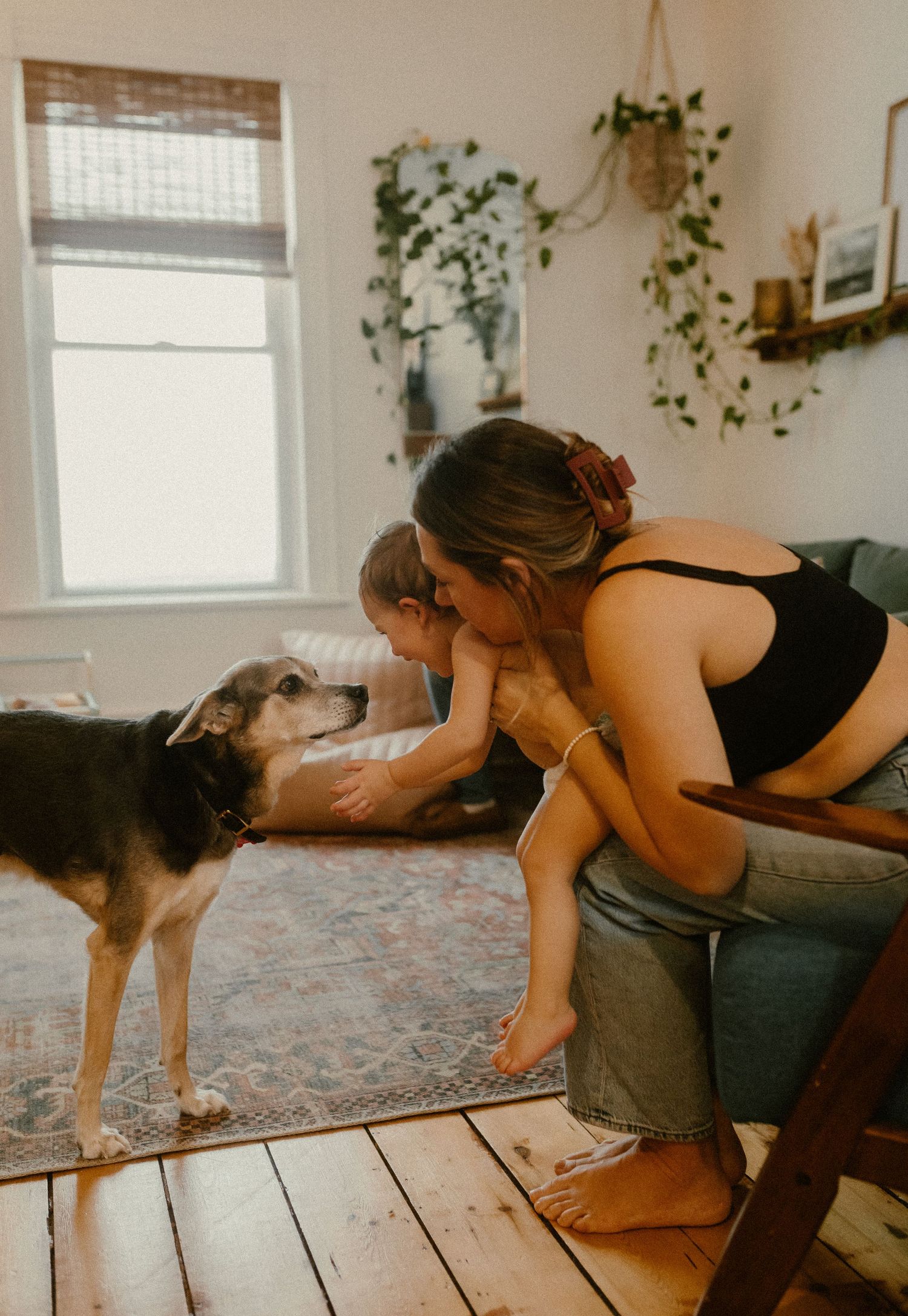 Person in black top interacting with friendly dog while sitting on gray couch near window with hanging plants.