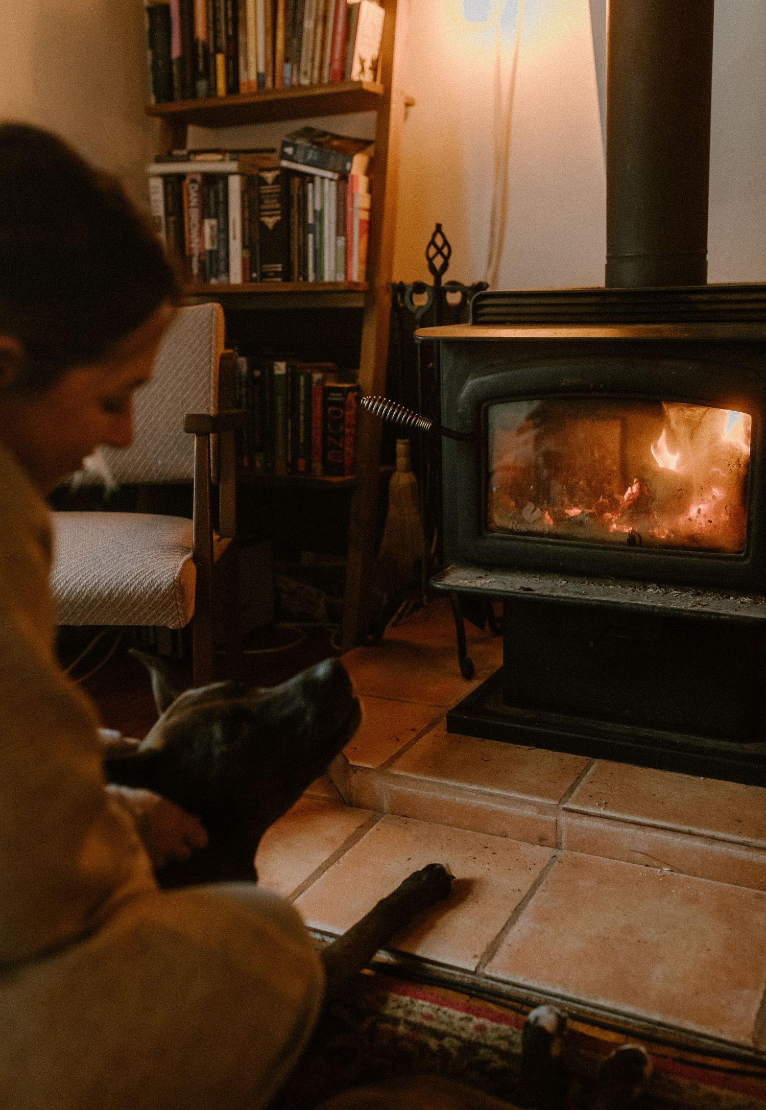 A cozy winter evening by the wood stove with a bookshelf and warm firelight glowing in the background.