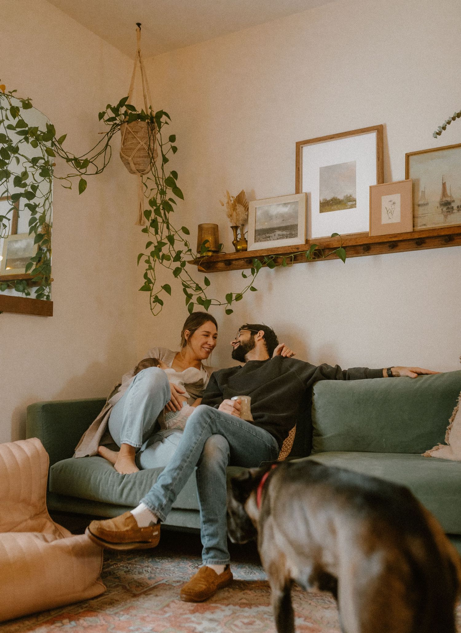 Interior scene of a living room with hanging plants, wooden shelving, and a comfortable green couch.