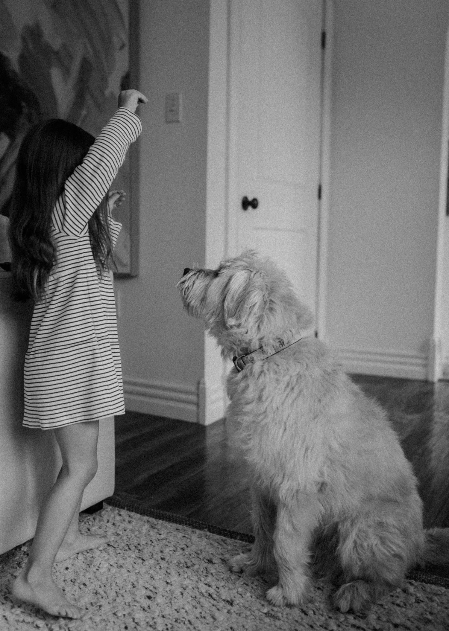 A child in a striped dress plays with a large fluffy dog in a monochrome home setting.