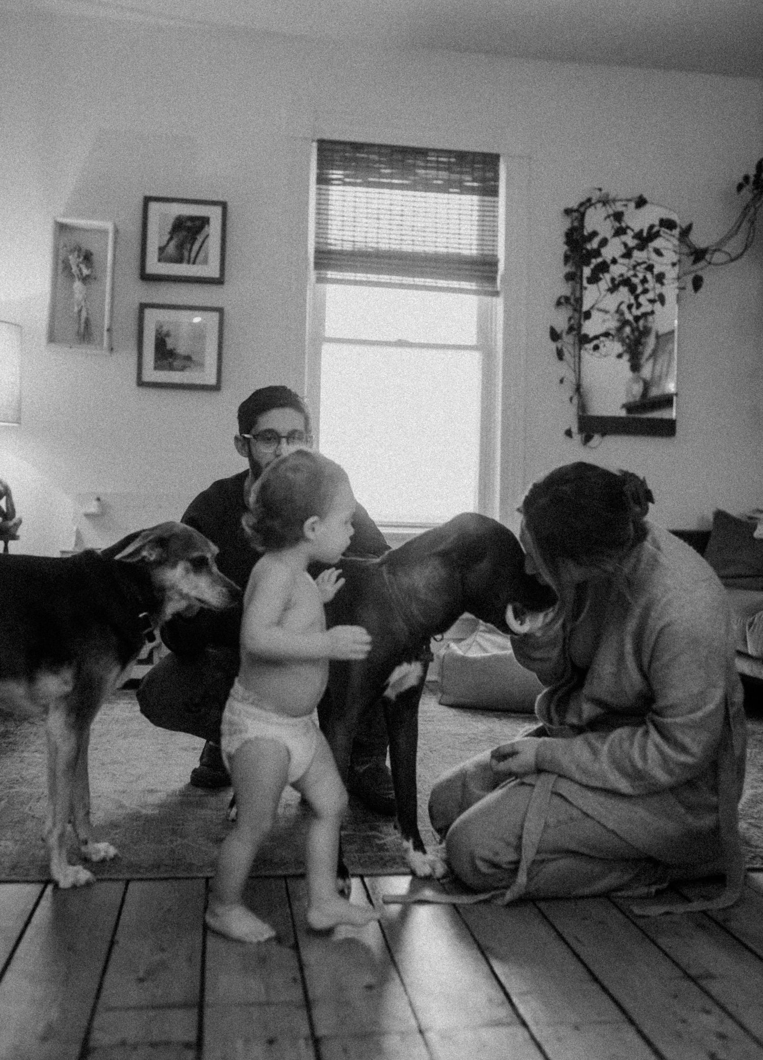 Black and white photo of family bonding with their dogs in cozy living room setting.