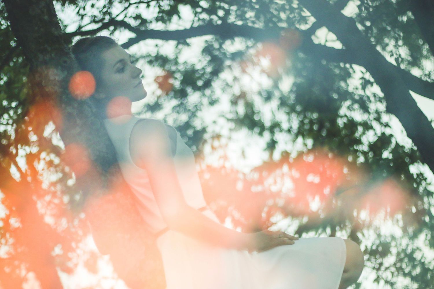 Abstract nature photography with bokeh effects and orange sunlight through tree branches.