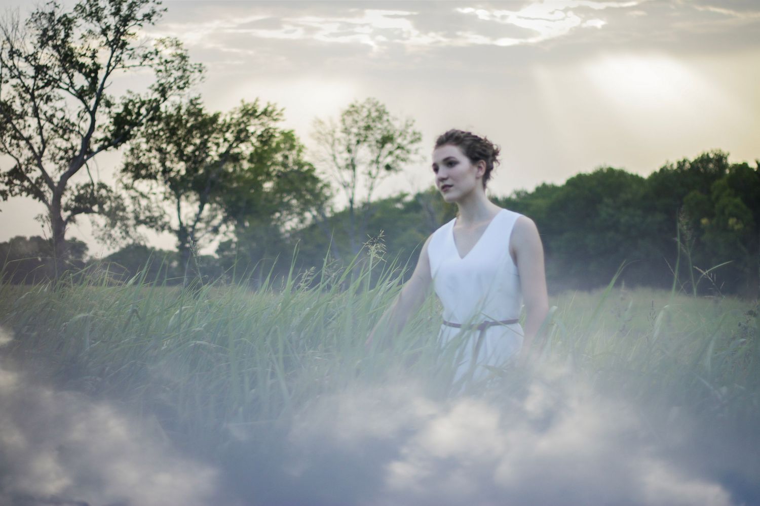 Dreamy outdoor scene with misty atmosphere and trees at sunset.