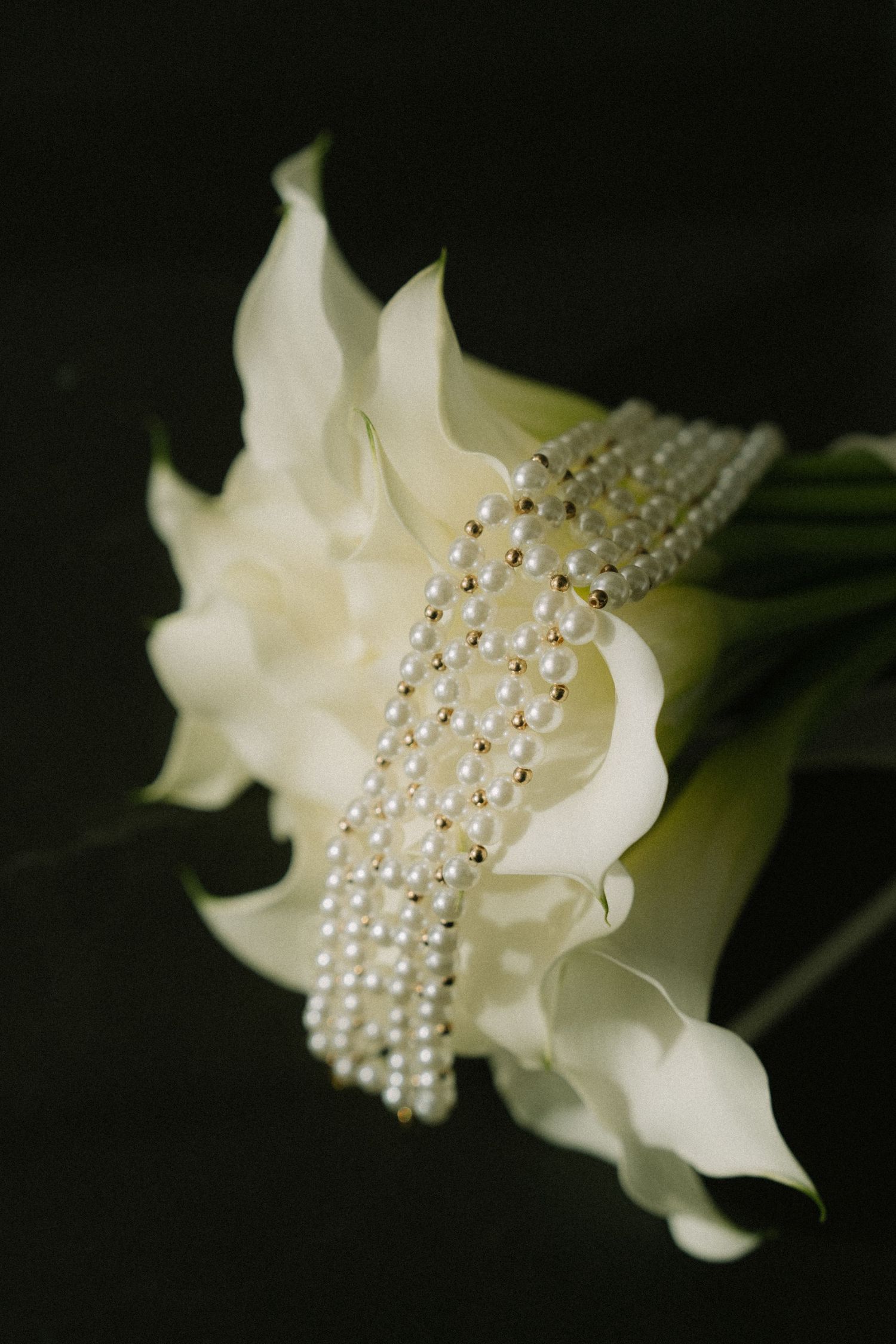 White calla lily adorned with delicate pearl strands against dark background.