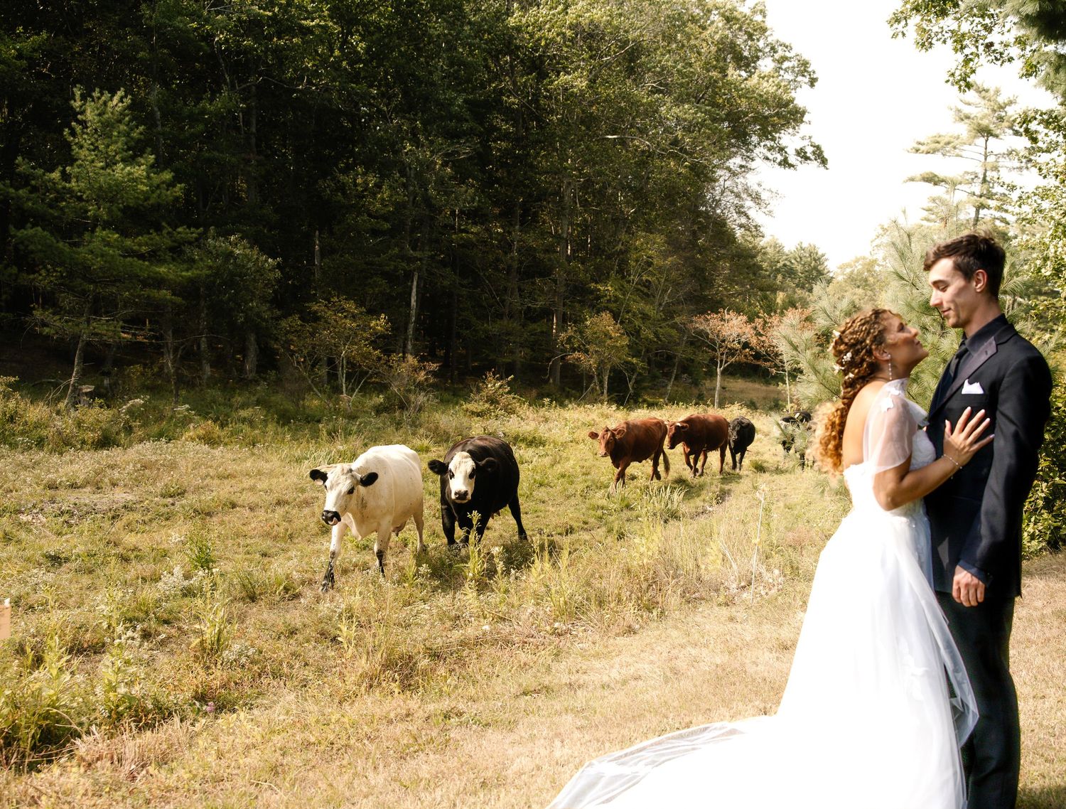 Mid Summer Massachusetts Wedding