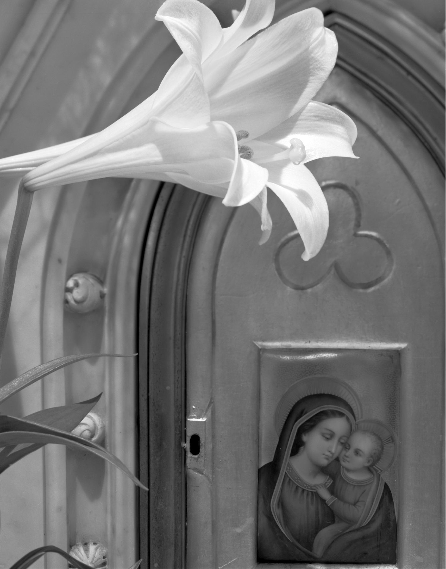 A series of black and white photographs showing intimate moments between mother and child with white lilies in frame.