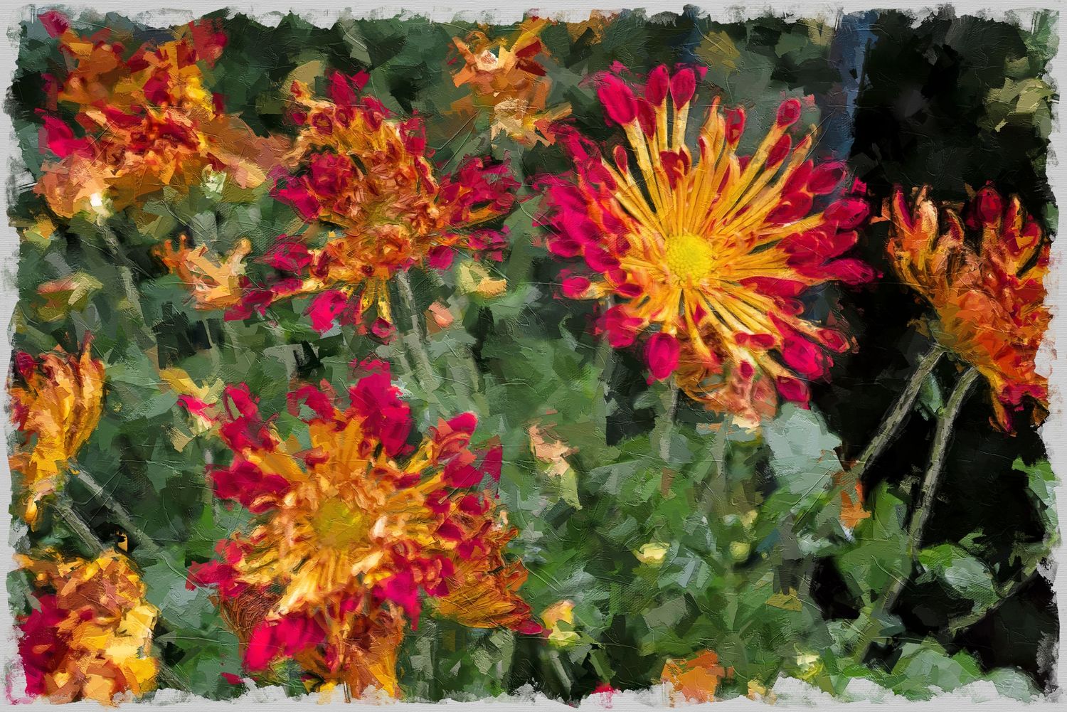 Digital painting of Vibrant orange and red chrysanthemum flowers blooming in a garden setting.