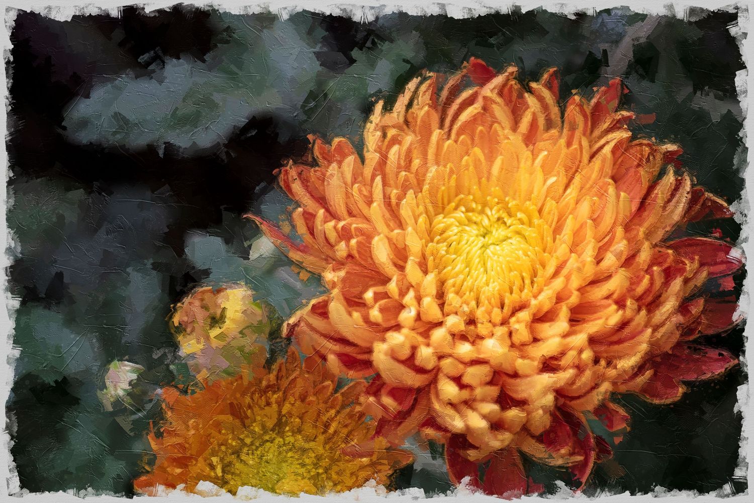 Digital painting of Close-up of vibrant orange and yellow chrysanthemum flowers against dark background.