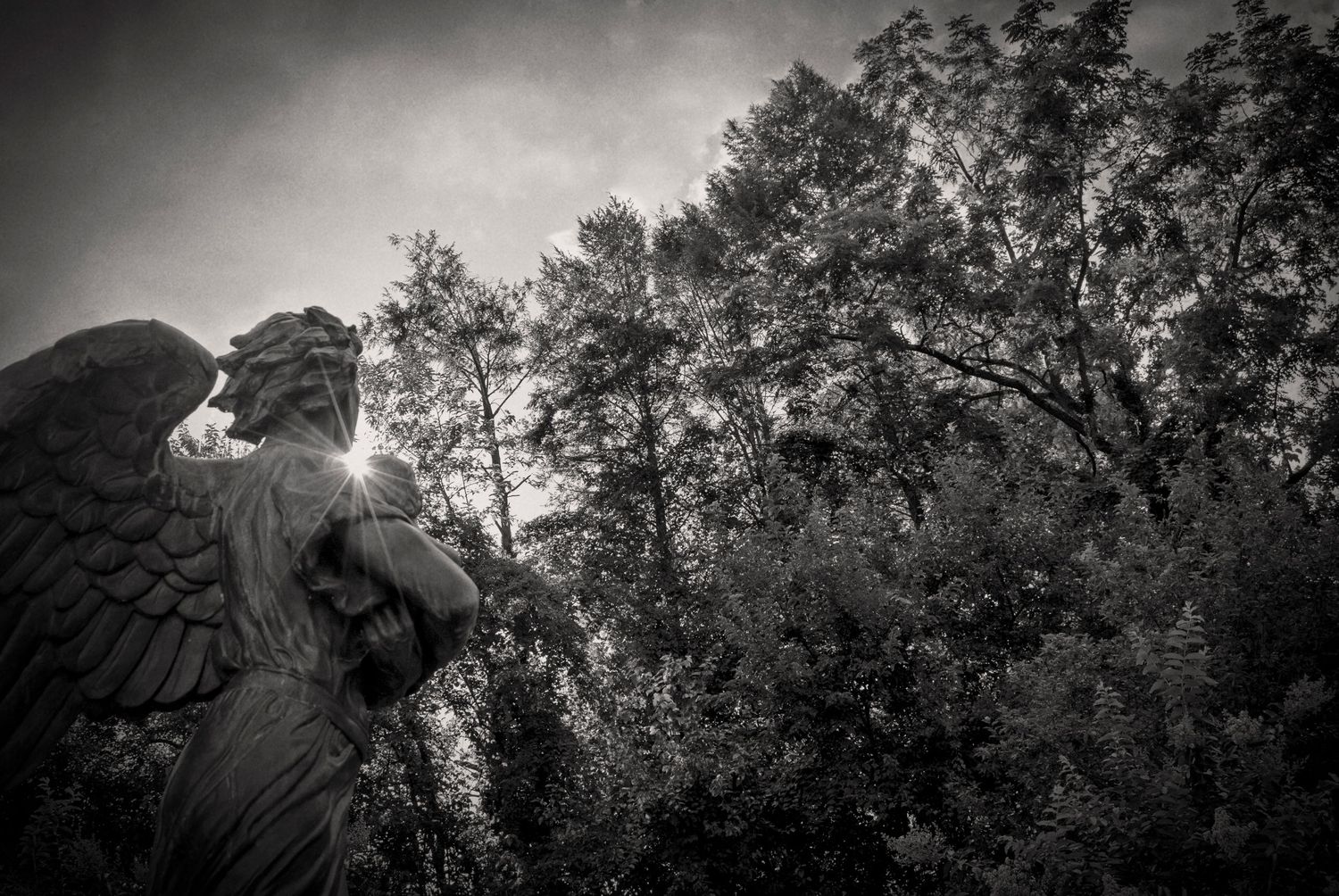 Silhouette the Archangel Gabriel with tree branches against a bright sky in black and white.