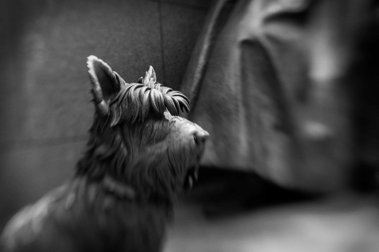 Black and white photo of a Scottish Terrier statue with blurred background.