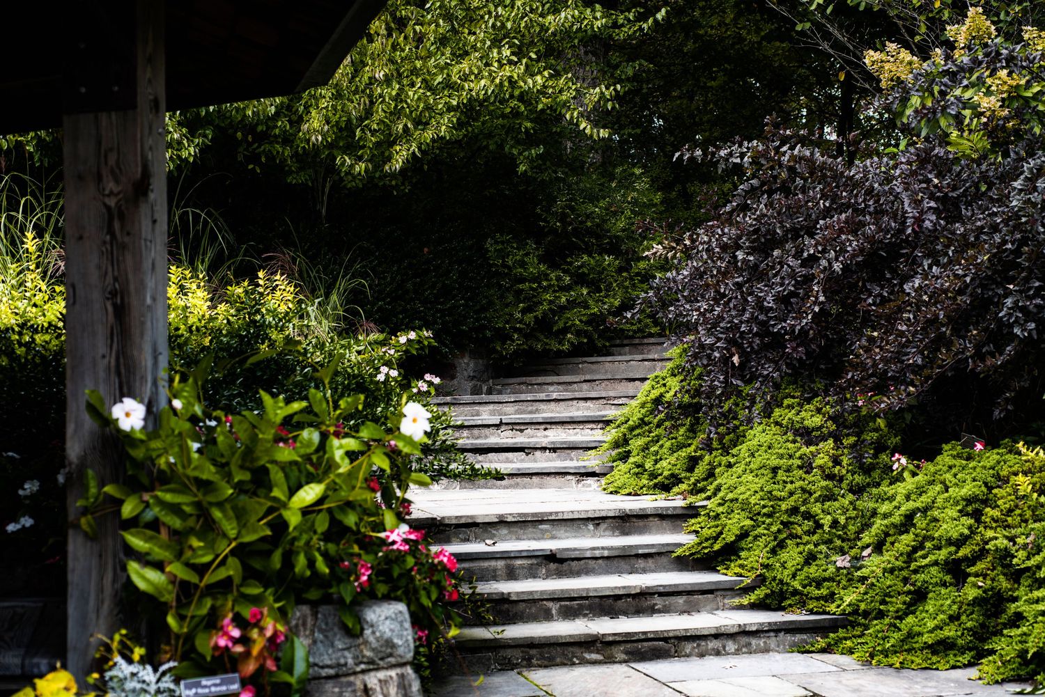 A stone pathway curves through a lush garden with green plants and flowers along the edges.
