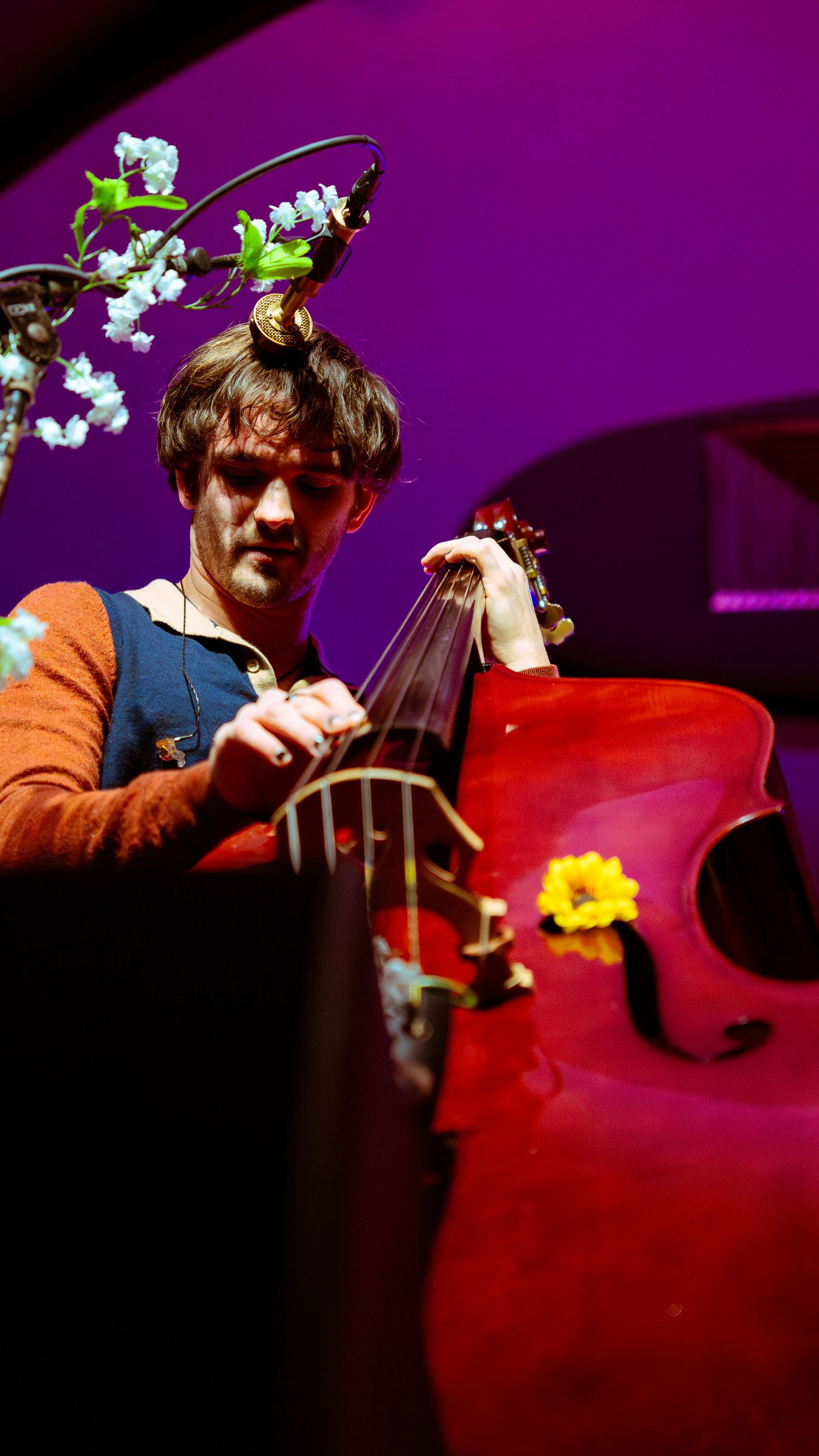 A musician performs with a red cello against a purple backdrop with dramatic lighting.