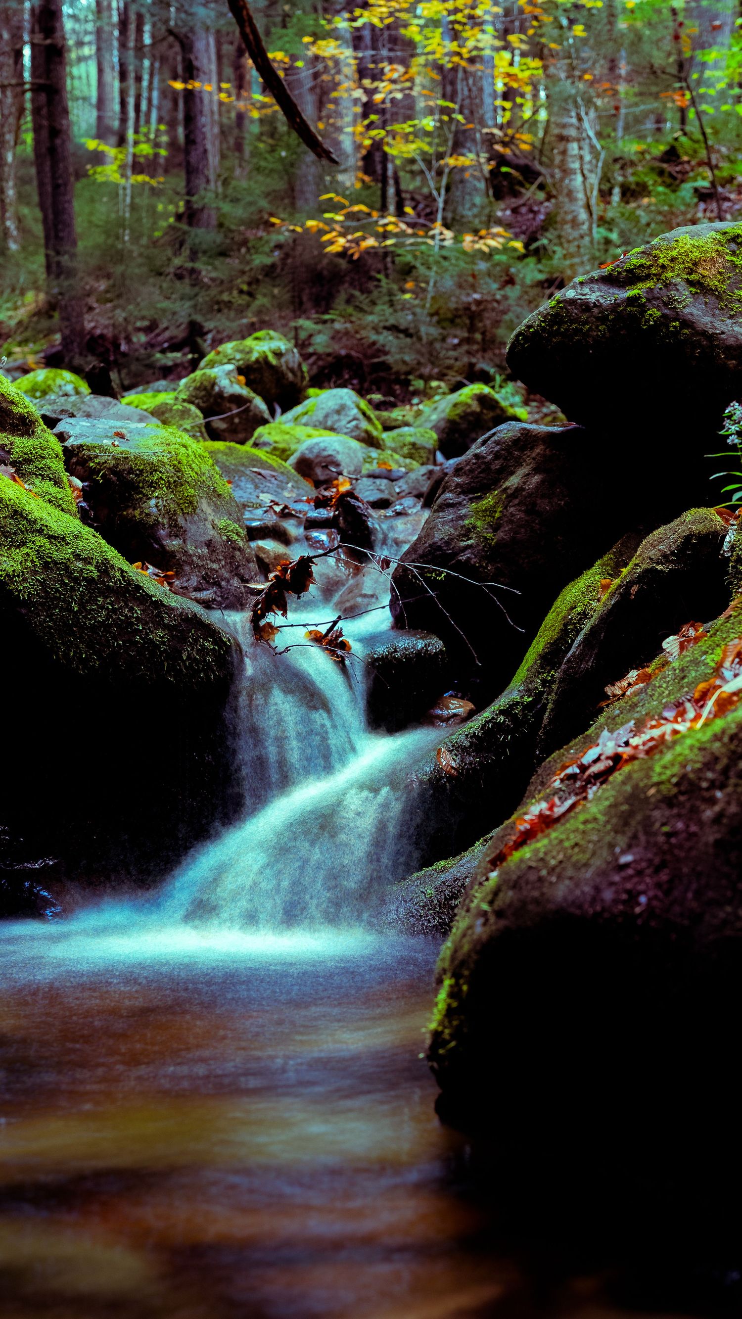 Mossy forest waterfall cascading over rocks with autumn foliage in background.