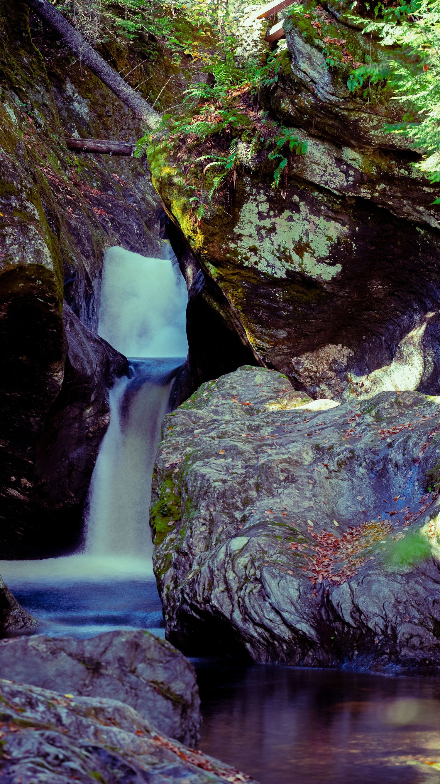 Small waterfall cascades over dark rocks into a serene forest pool.