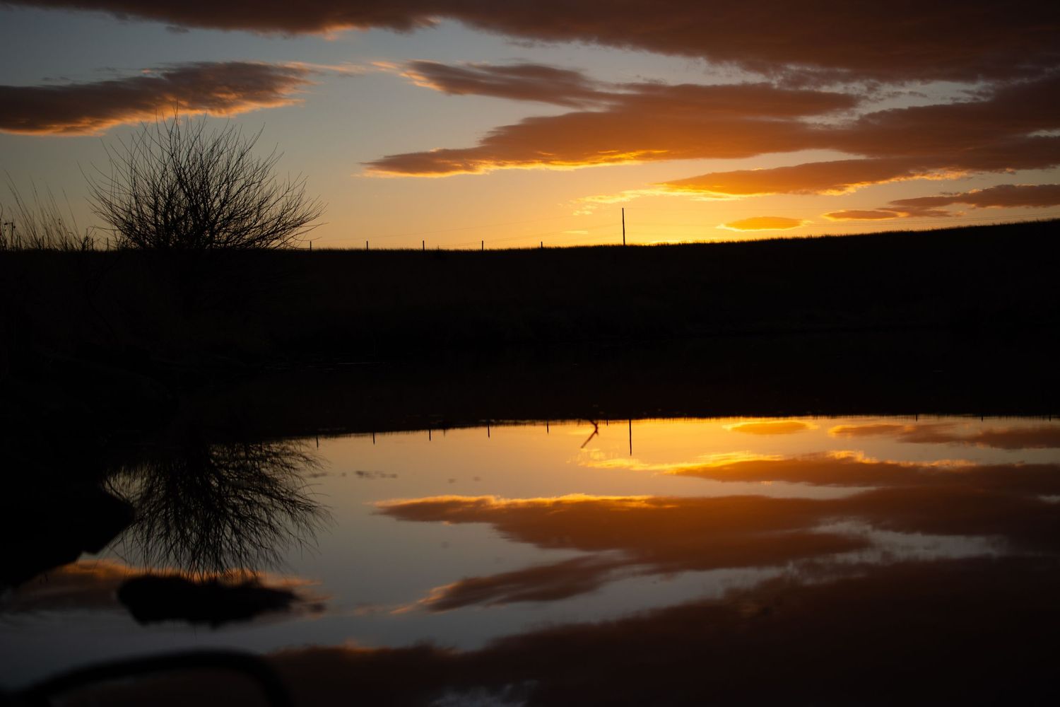 Golden sunset creates mirror reflection in calm water with dark silhouetted shoreline.
