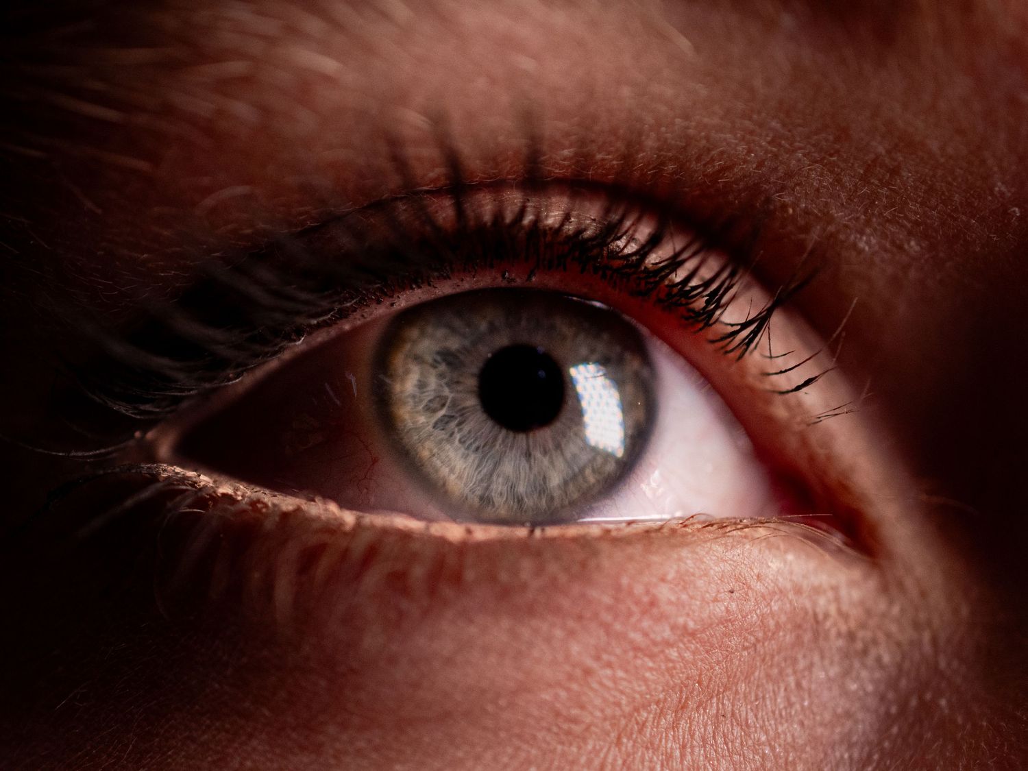 Close-up macro shot of eyes in dramatic lighting showing intricate iris details.