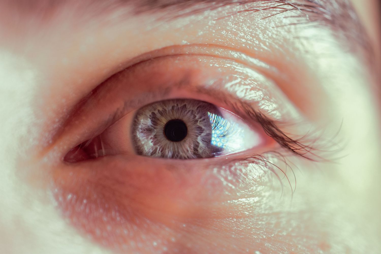 Artistic close-up photograph of eyes with soft natural lighting and delicate details.