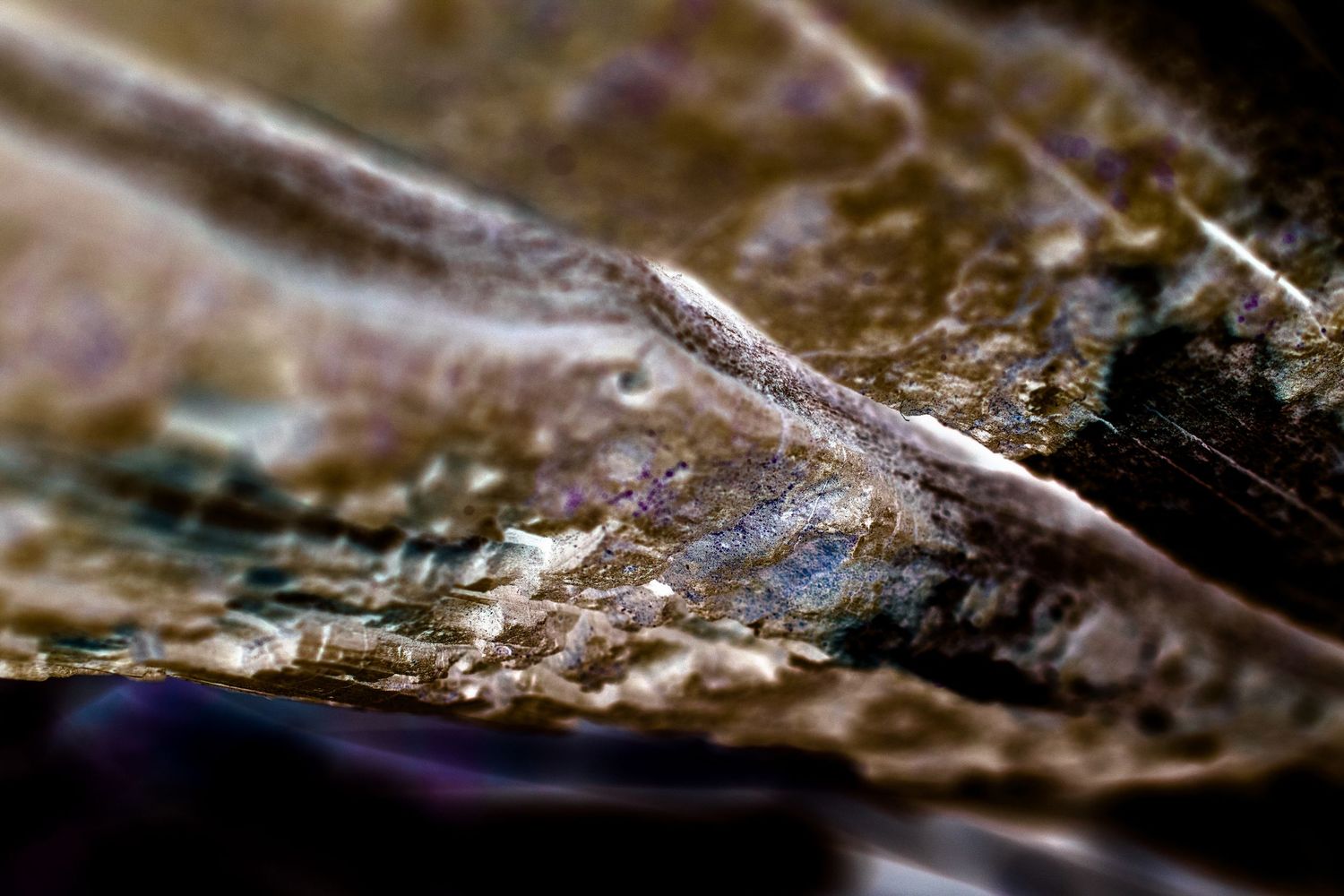 Extreme macro shot shows textured surface with shallow depth of field.