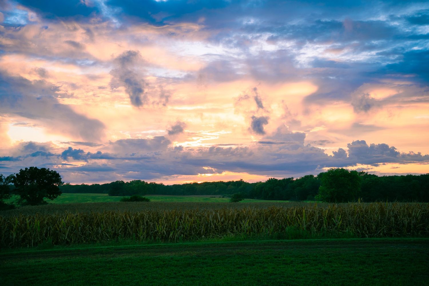 Wide panoramic view of colorful sunset clouds over rural farmland.
