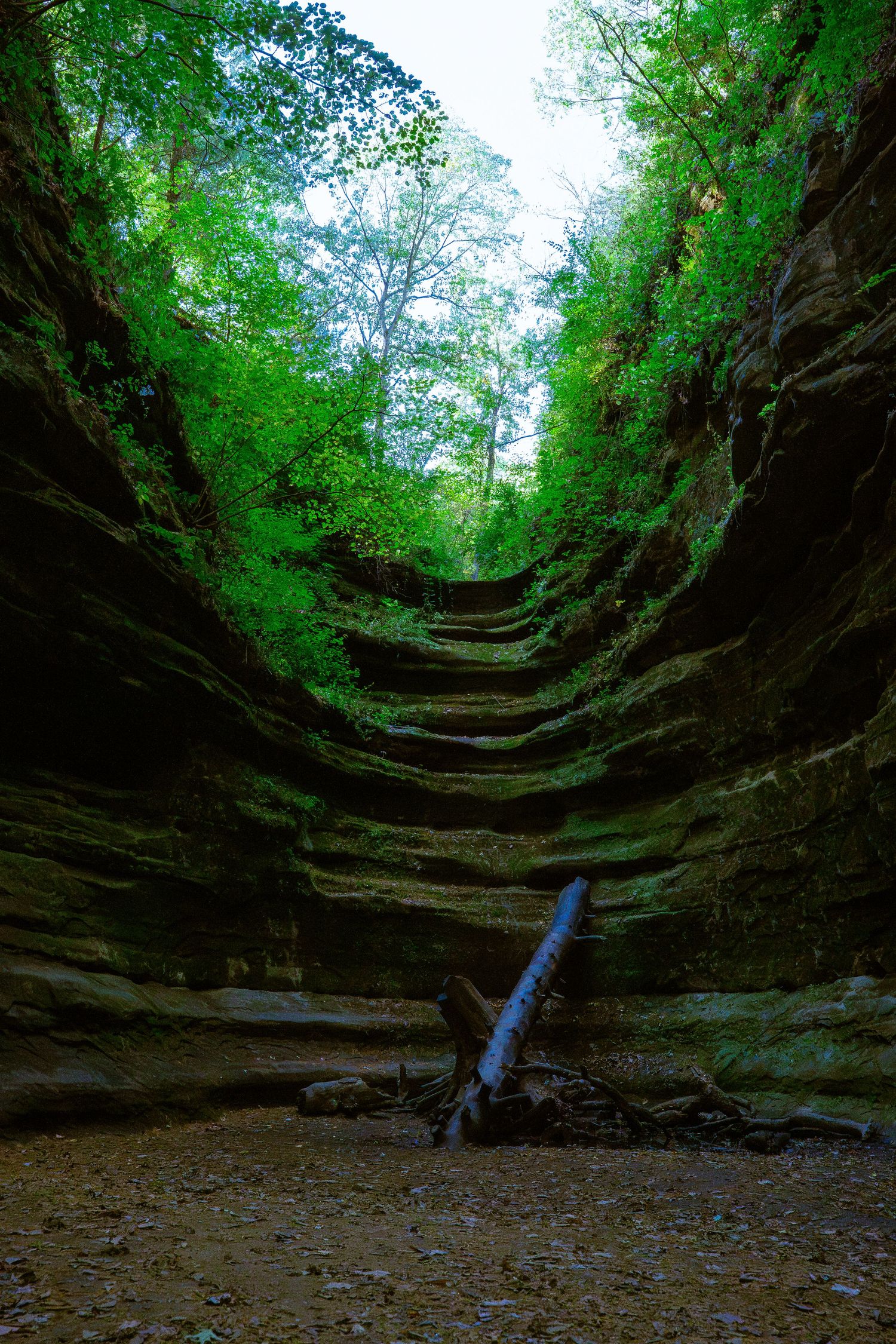 Natural canyon with steep rock walls and a small waterfall flowing into a shaded gorge.