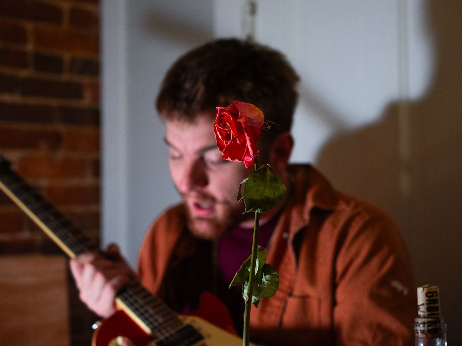 A musician plays guitar next to a red rose in dramatic lighting.