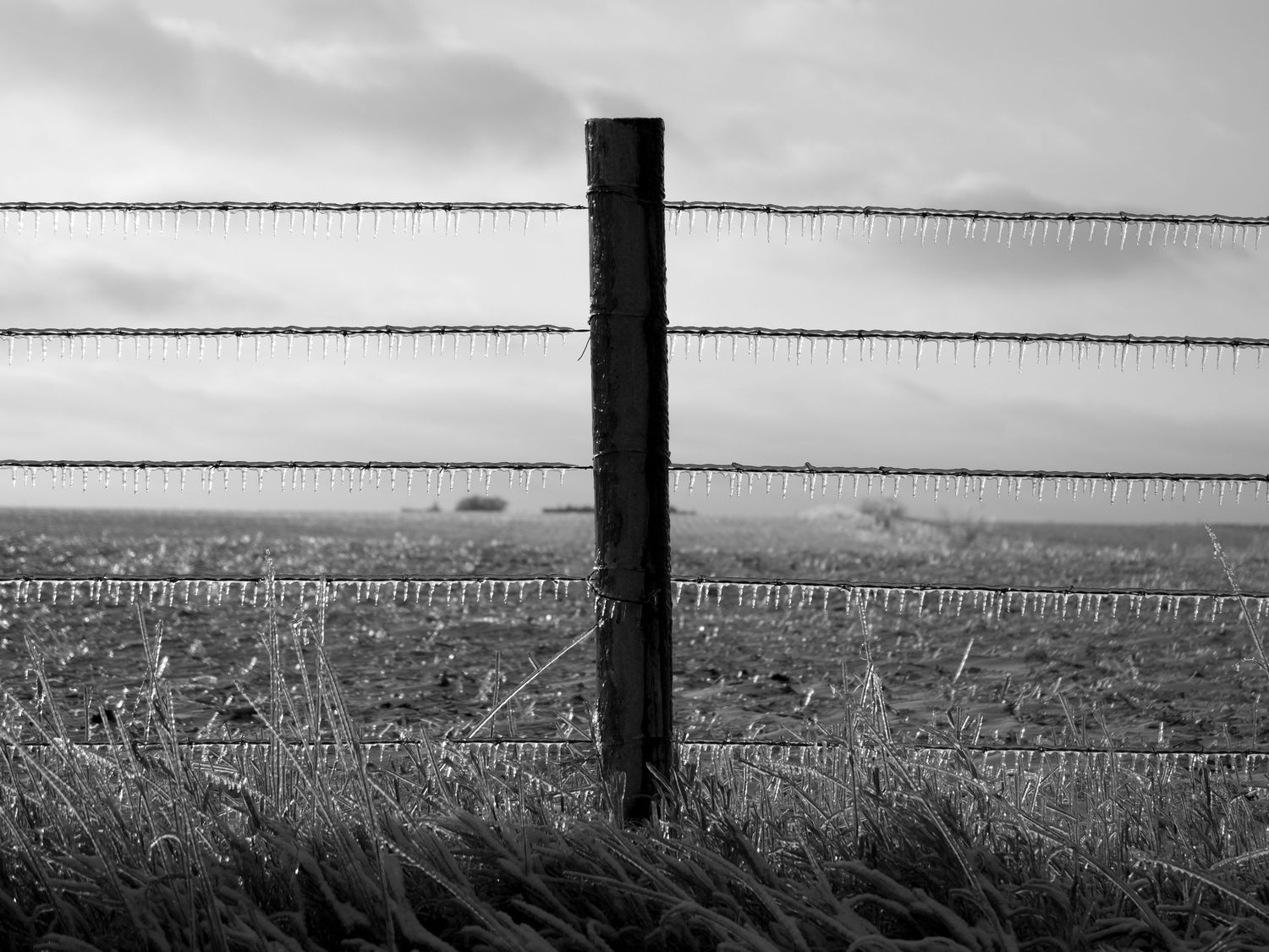 Black and white landscape with barbed wire fence stretching across empty fields.